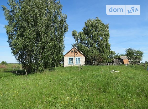 одноэтажный дом, 100 кв. м, кирпич. Продажа в Орвянице (Ровенская обл.) фото 1 одноэтажный дом, 100 кв. м, кирпич. Продажа в Орвянице (Ровенская обл.) фото 1