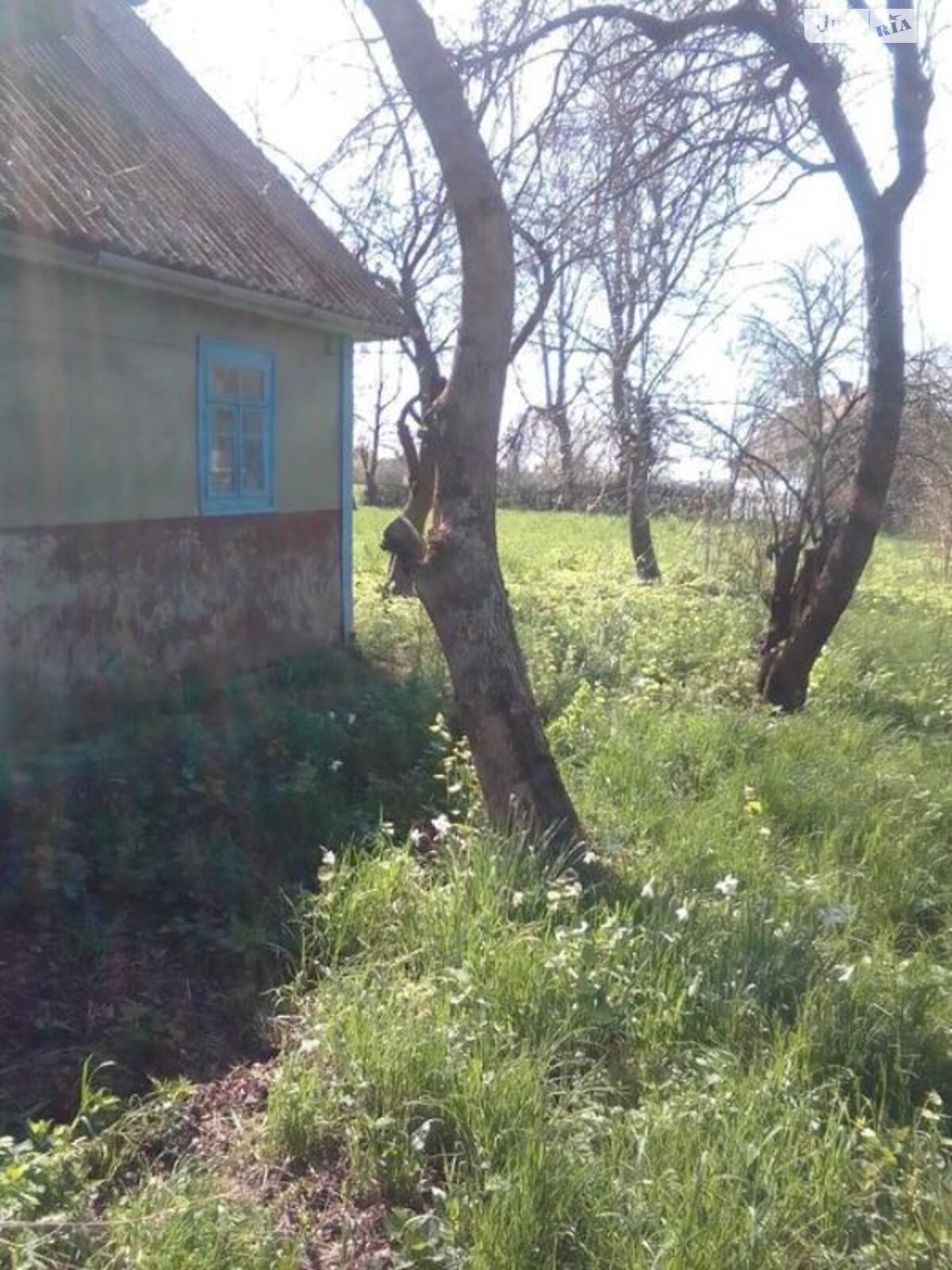одноповерховий будинок з опаленням, 60 кв. м, цегла. Продаж у Дубровці фото 1 одноповерховий будинок з опаленням, 60 кв. м, цегла. Продаж у Дубровці фото 1