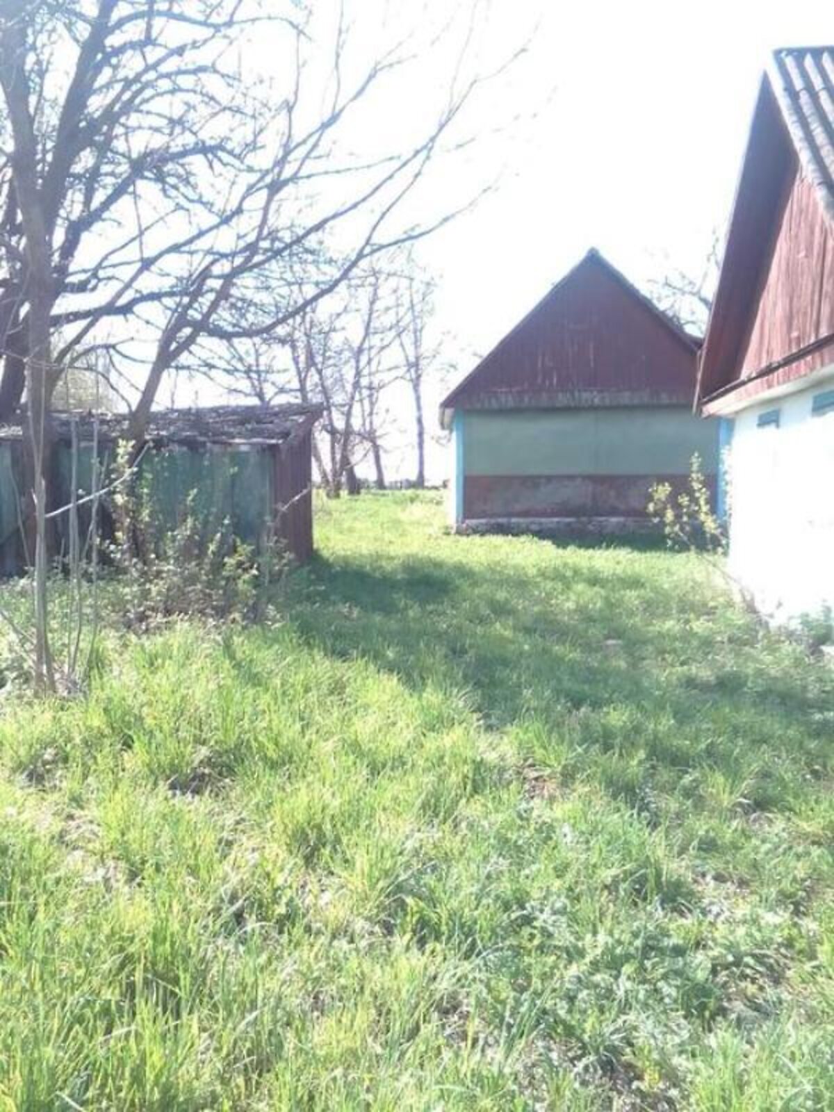 одноповерховий будинок з опаленням, 60 кв. м, цегла. Продаж у Дубровці фото 1 одноповерховий будинок з опаленням, 60 кв. м, цегла. Продаж у Дубровці фото 1