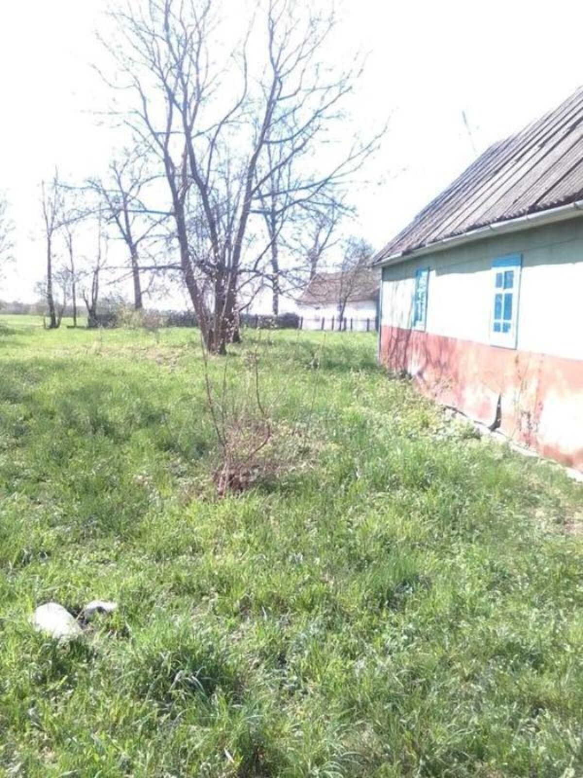 одноповерховий будинок з опаленням, 60 кв. м, цегла. Продаж у Дубровці фото 1 одноповерховий будинок з опаленням, 60 кв. м, цегла. Продаж у Дубровці фото 1