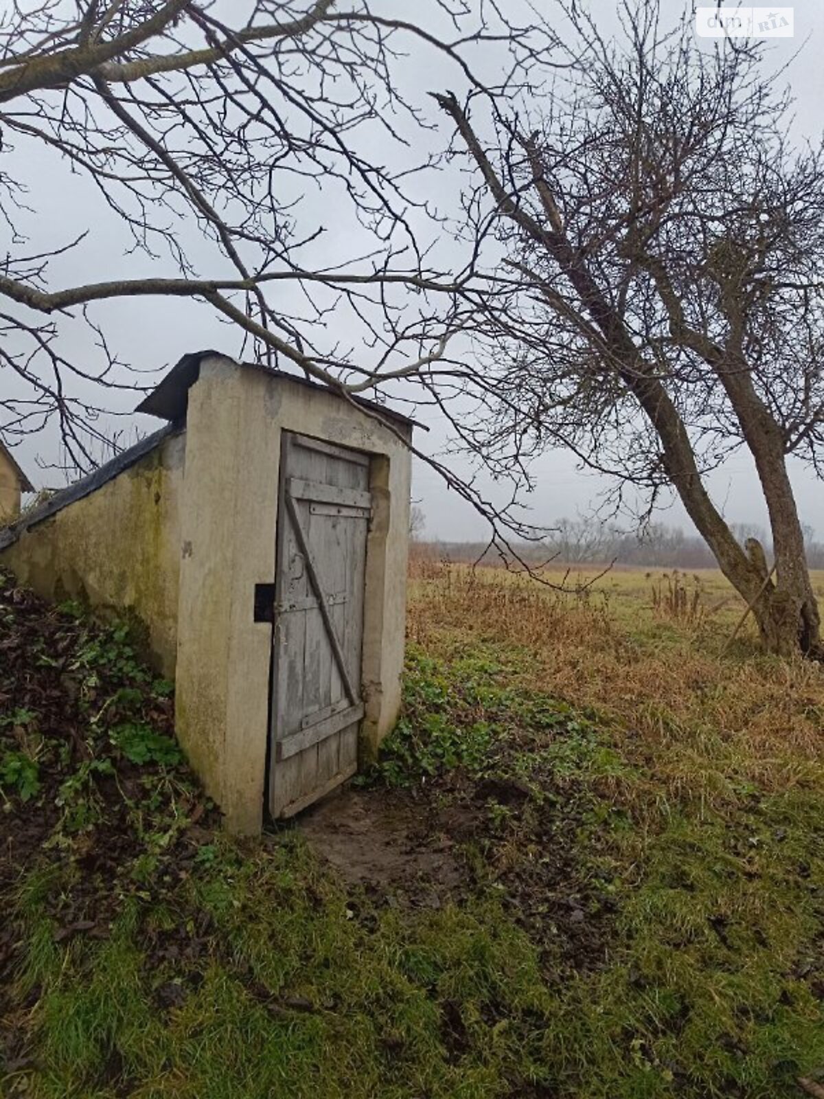 одноповерховий будинок, 47.6 кв. м, піноблок. Продаж у Дуби фото 1 одноповерховий будинок, 47.6 кв. м, піноблок. Продаж у Дуби фото 1