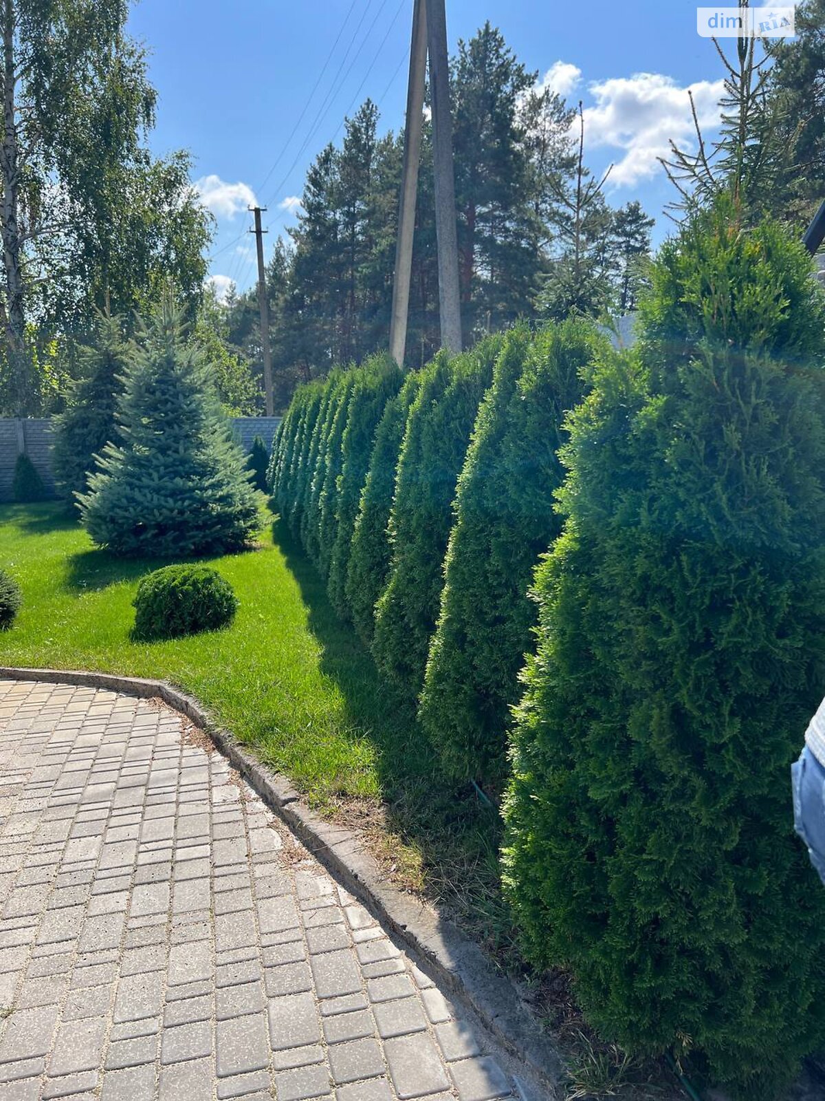 одноповерховий будинок з опаленням, 96 кв. м, газобетон. Продаж у Думанцях фото 1