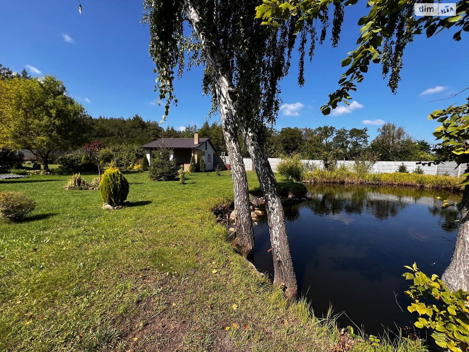 одноповерховий будинок з опаленням, 96 кв. м, газобетон. Продаж у Думанцях фото 1