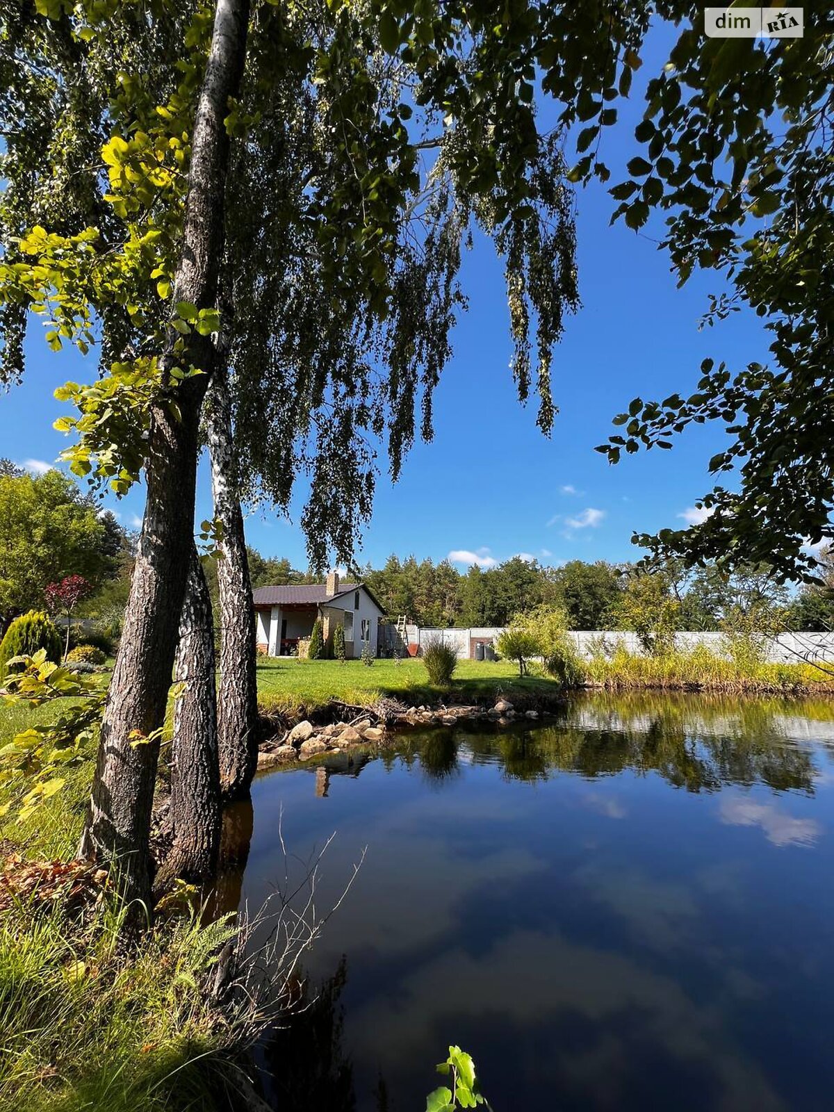 одноповерховий будинок з опаленням, 96 кв. м, газобетон. Продаж у Думанцях фото 1