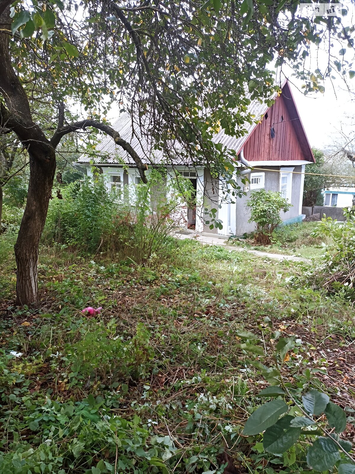 одноэтажный дом, 39.5 кв. м, шлакоблок. Продажа в Дунаевцах район Дунаевцы фото 1 одноэтажный дом, 39.5 кв. м, шлакоблок. Продажа в Дунаевцах район Дунаевцы фото 1