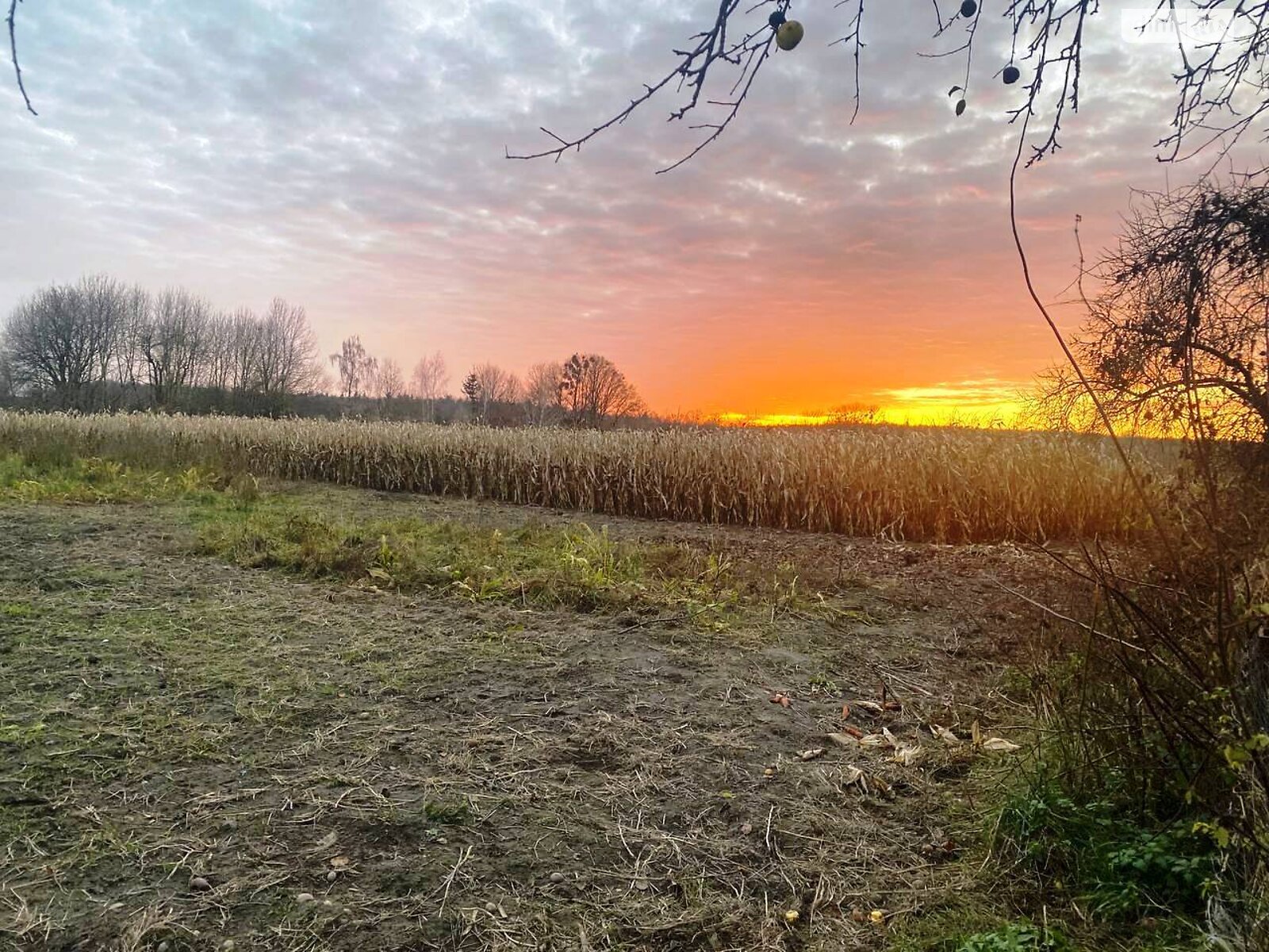 одноэтажный дом, 68.1 кв. м, кирпич. Продажа в Дьяковцах фото 1