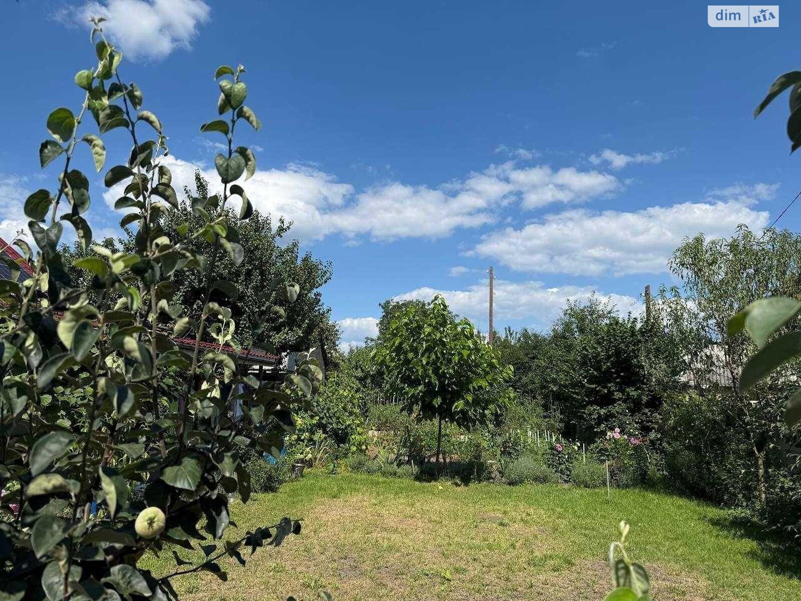 одноповерховий будинок, 62 кв. м, кирпич. Продаж у Димері фото 1