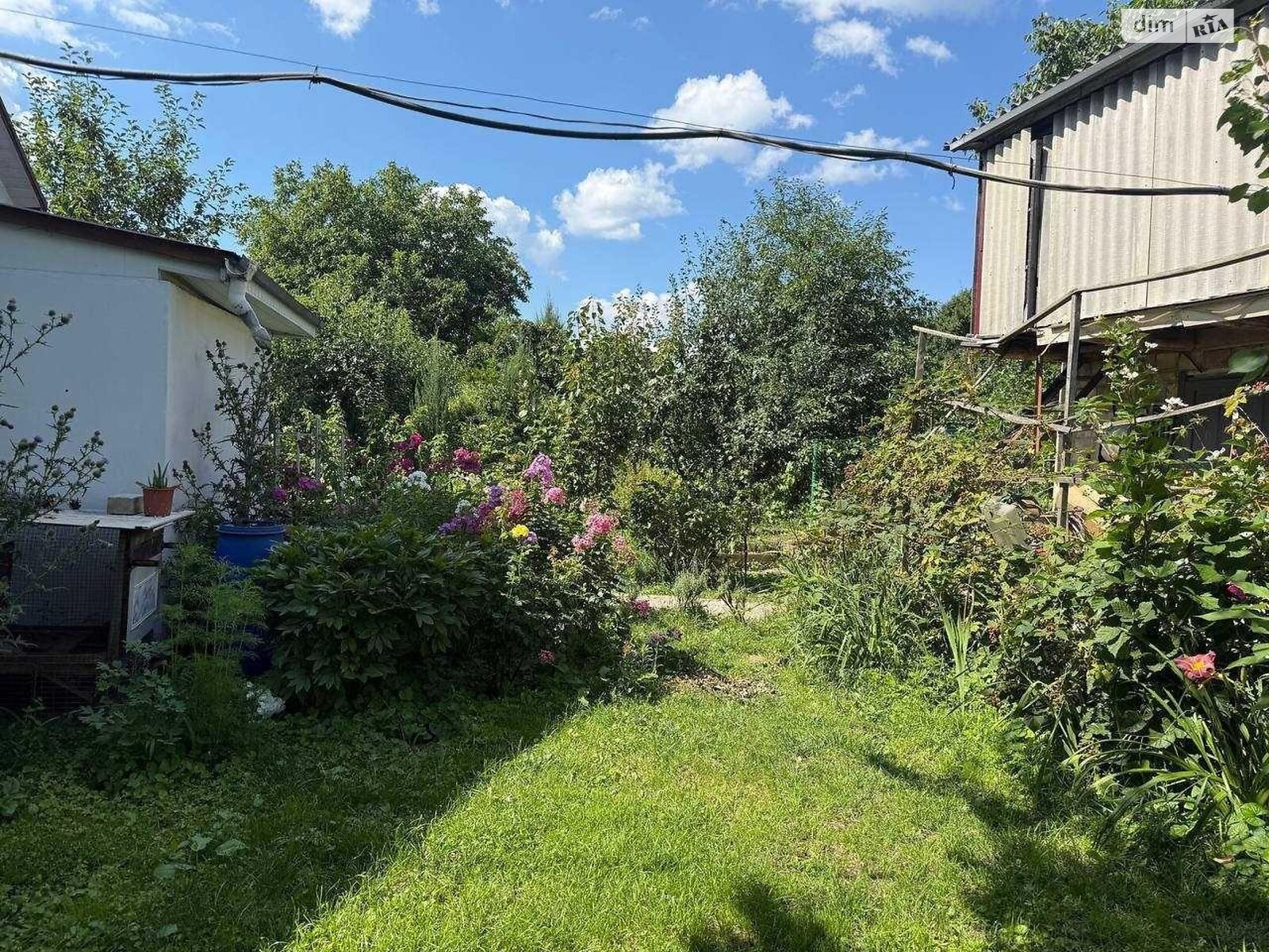 одноповерховий будинок, 62 кв. м, кирпич. Продаж у Димері фото 1