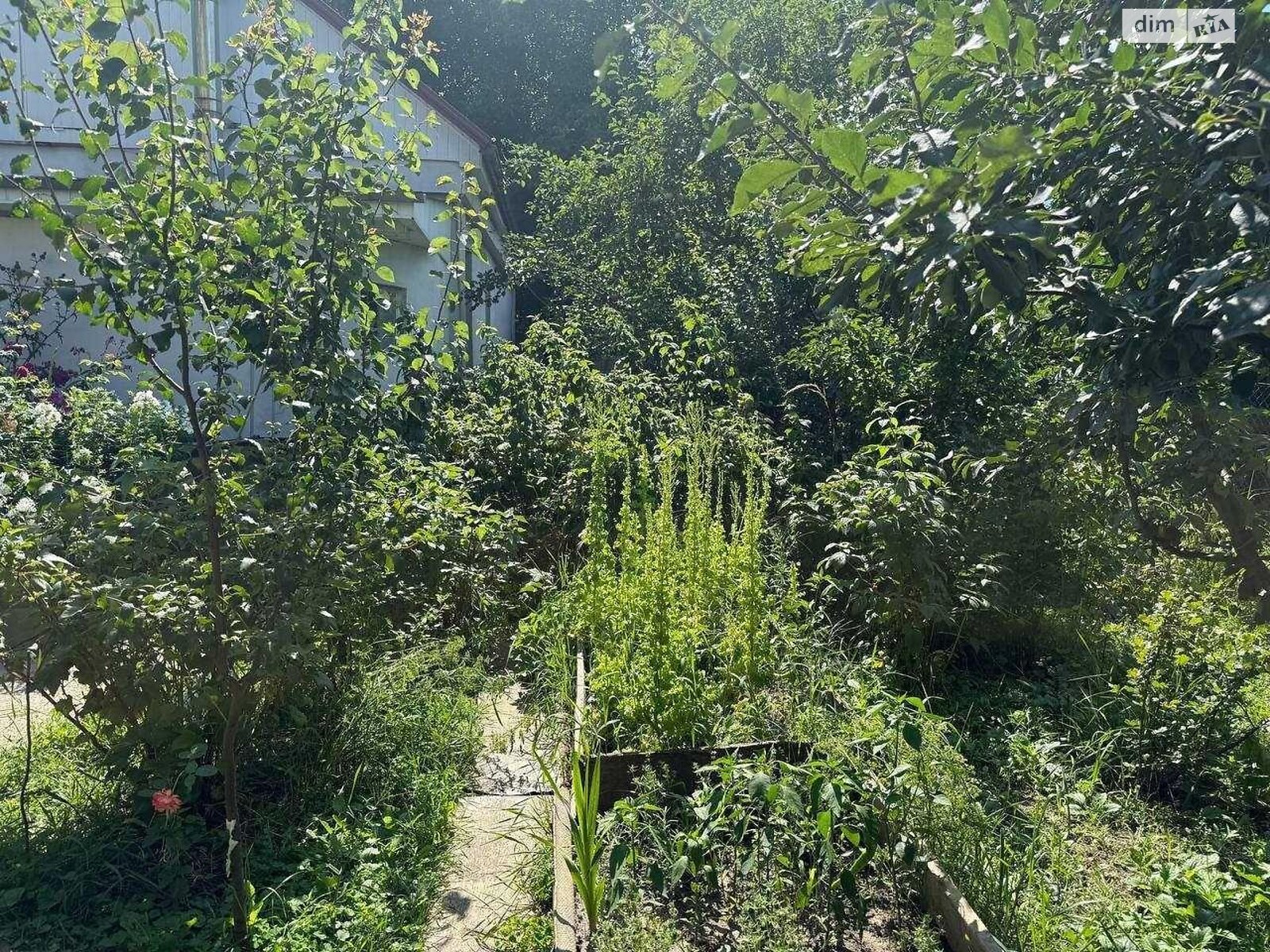 одноповерховий будинок, 62 кв. м, кирпич. Продаж у Димері фото 1