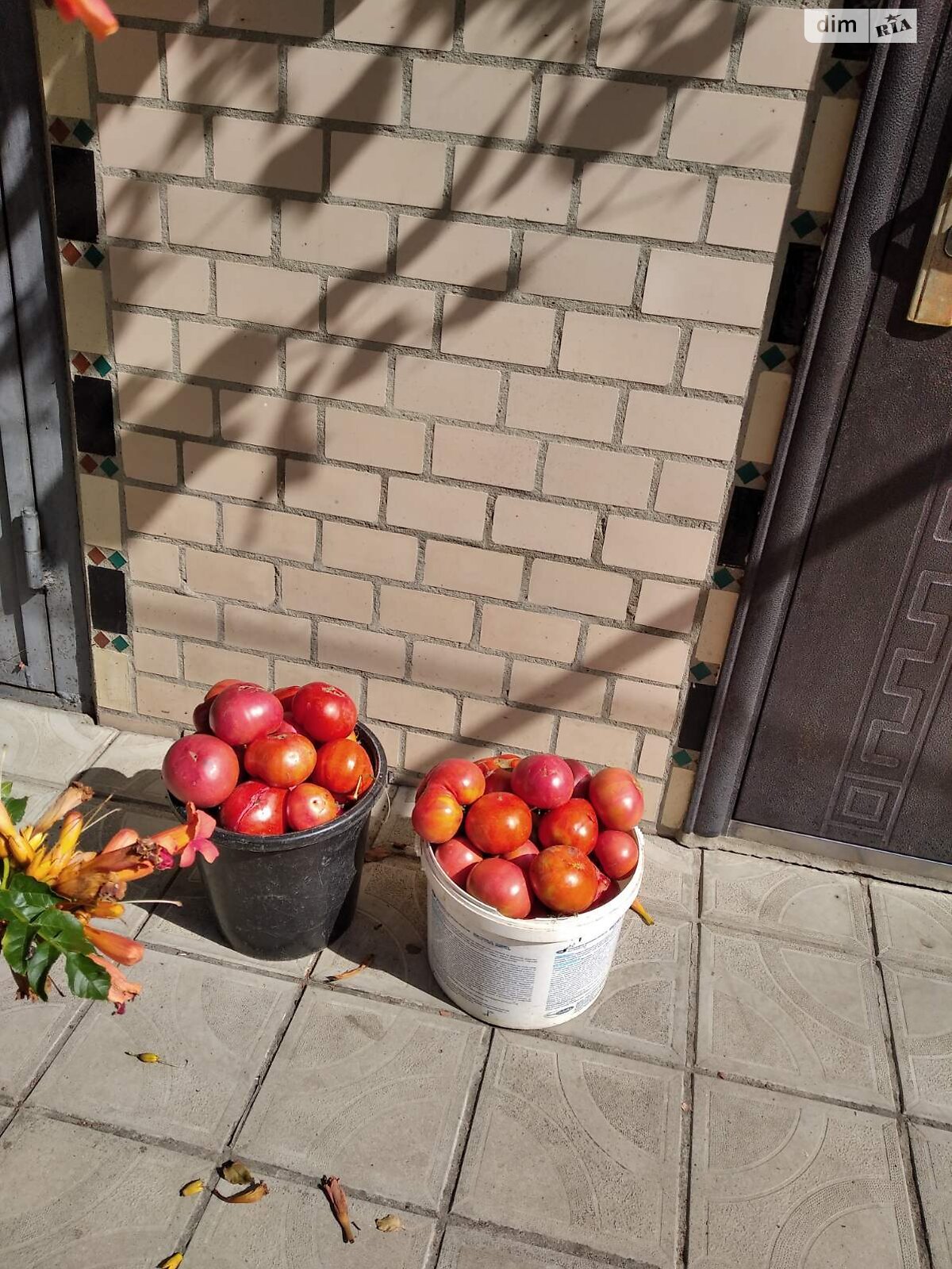 двоповерховий будинок, 105.2 кв. м, цегла. Продаж у Дзигівці фото 1