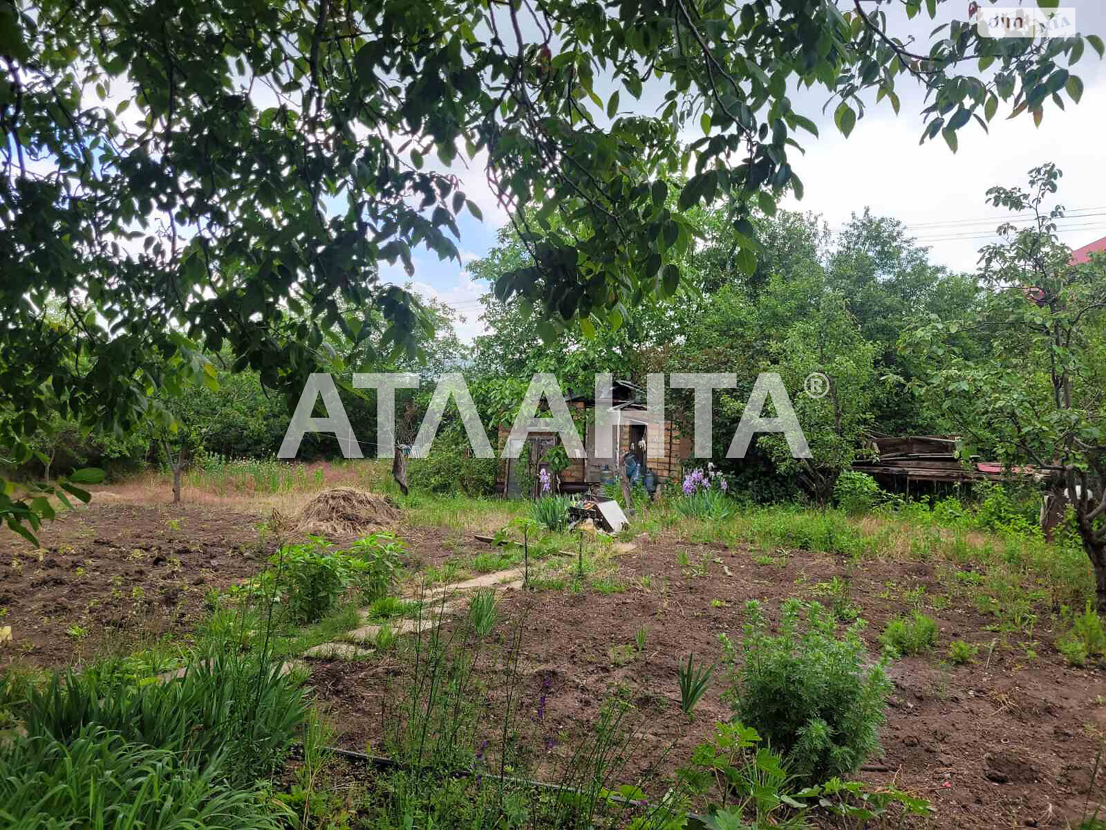 двоповерховий будинок бесідка, 145 кв. м, ракушечник (ракушняк). Продаж у Єгорівці фото 1 двоповерховий будинок бесідка, 145 кв. м, ракушечник (ракушняк). Продаж у Єгорівці фото 1