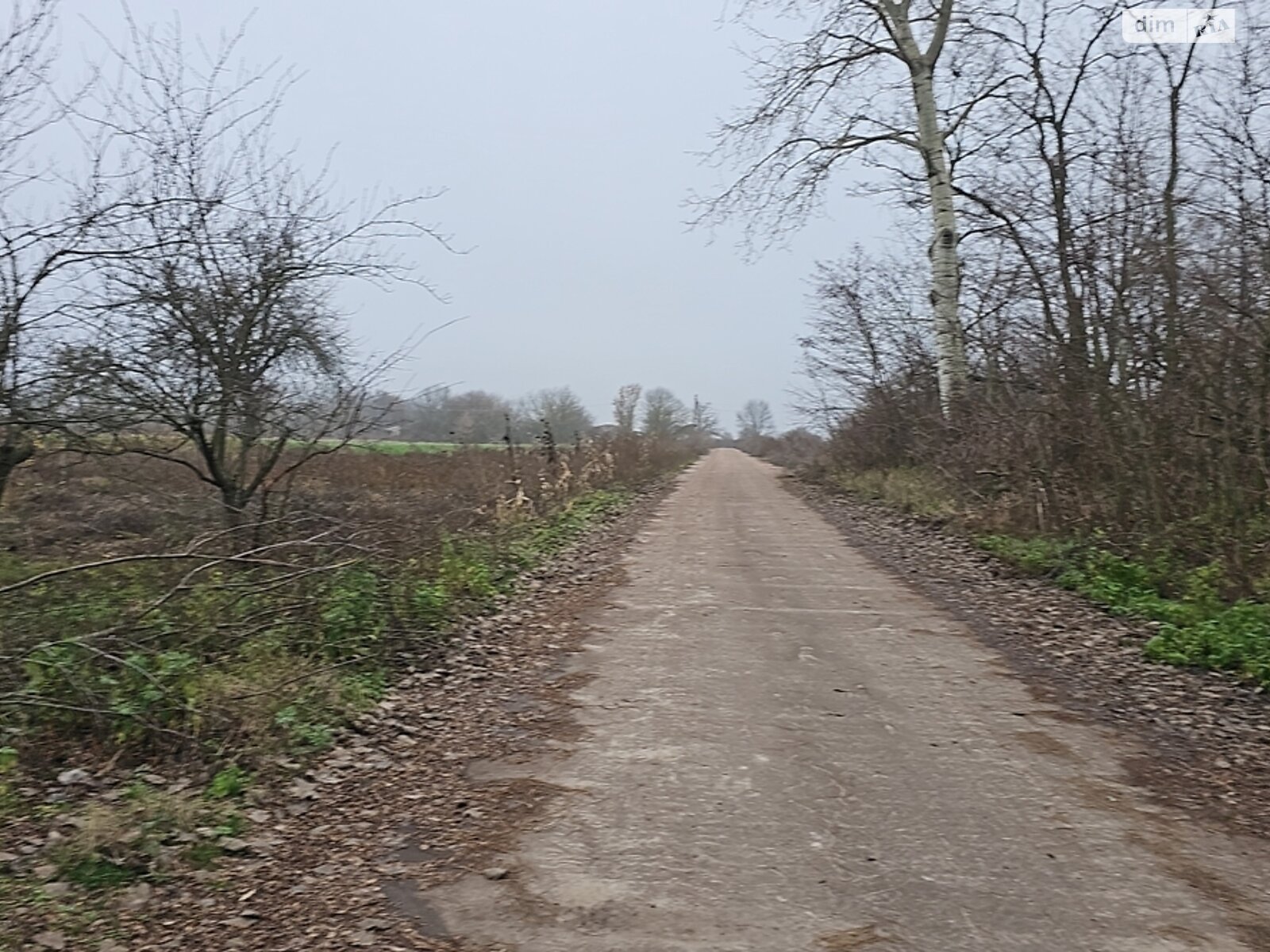 одноповерховий будинок з верандою, 61.5 кв. м, глинобитний. Продаж у Фарбованому фото 1