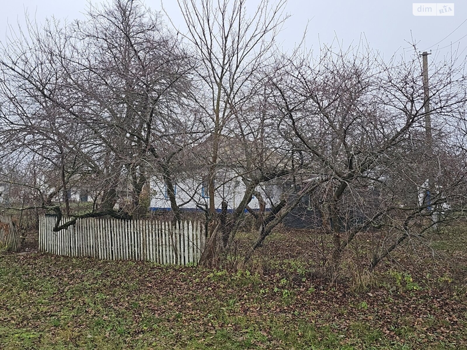 одноповерховий будинок з верандою, 61.5 кв. м, глинобитний. Продаж у Фарбованому фото 1