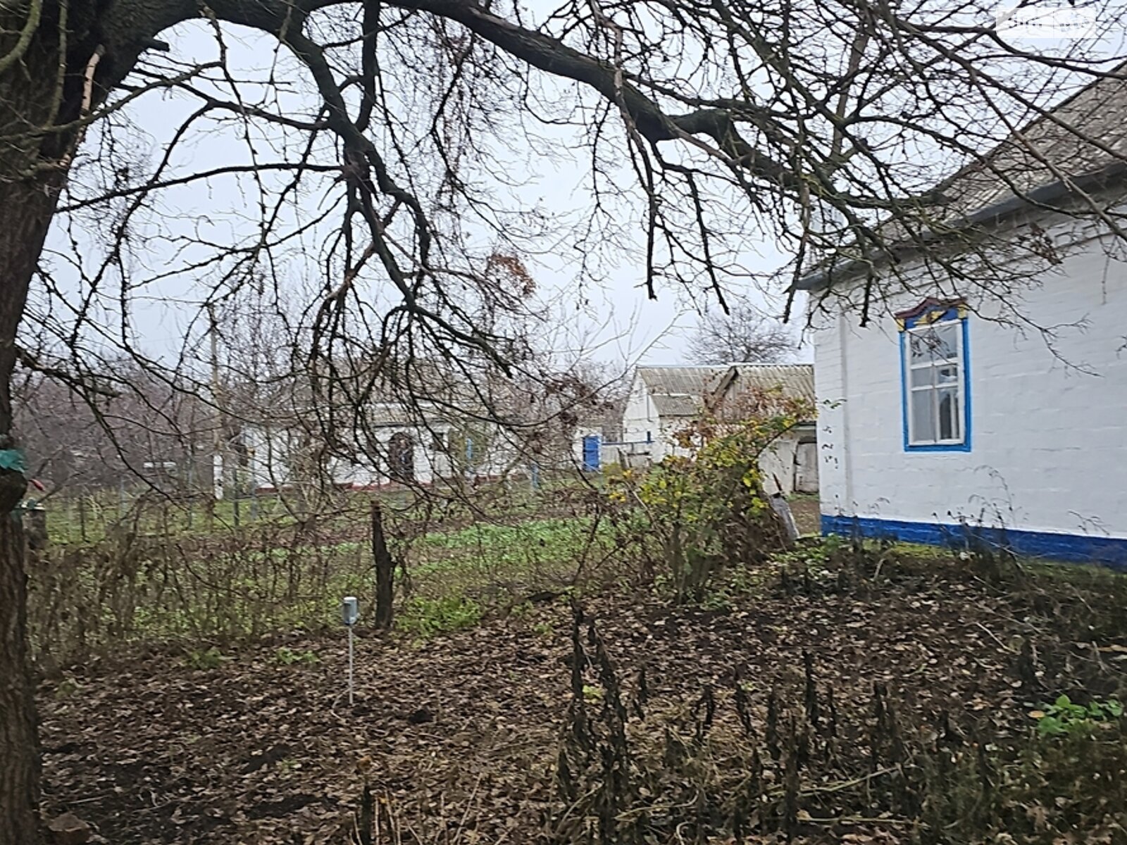 одноповерховий будинок з верандою, 61.5 кв. м, глинобитний. Продаж у Фарбованому фото 1