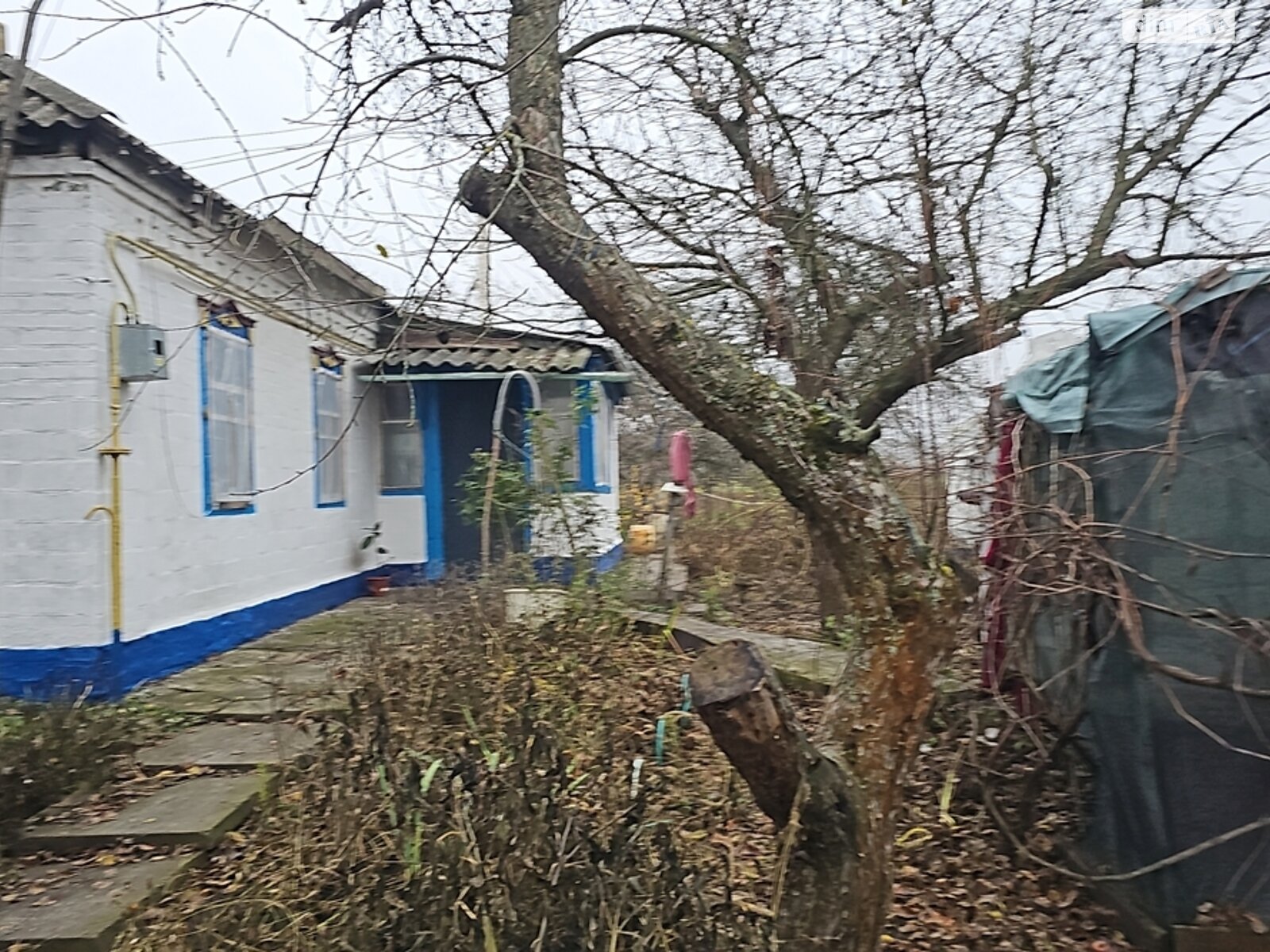 одноповерховий будинок з верандою, 61.5 кв. м, глинобитний. Продаж у Фарбованому фото 1