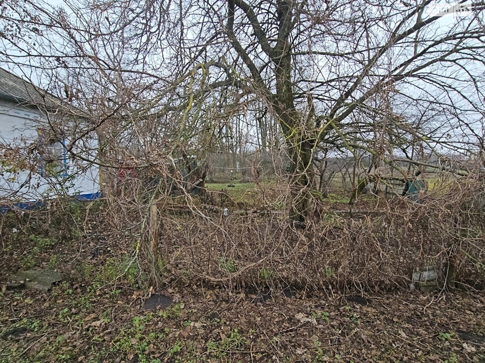 одноповерховий будинок з верандою, 61.5 кв. м, глинобитний. Продаж у Фарбованому фото 1