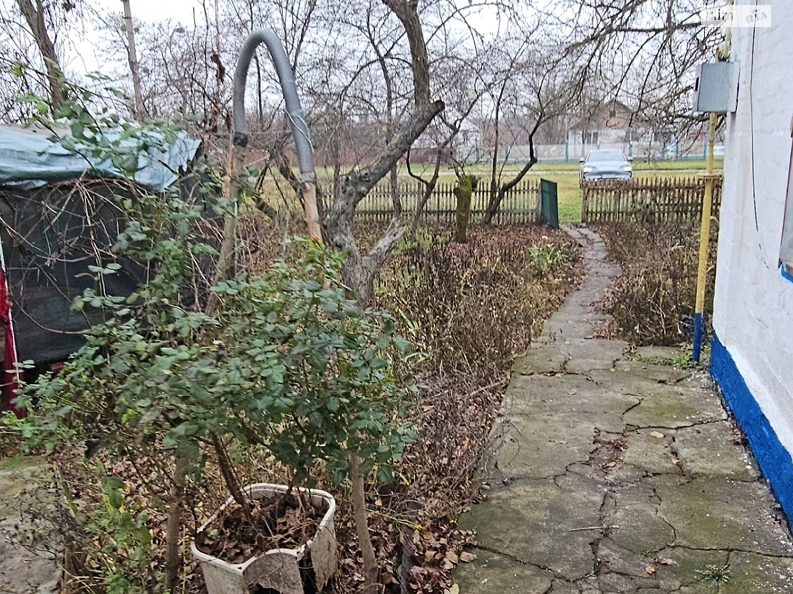 одноповерховий будинок з верандою, 61.5 кв. м, глинобитний. Продаж у Фарбованому фото 1