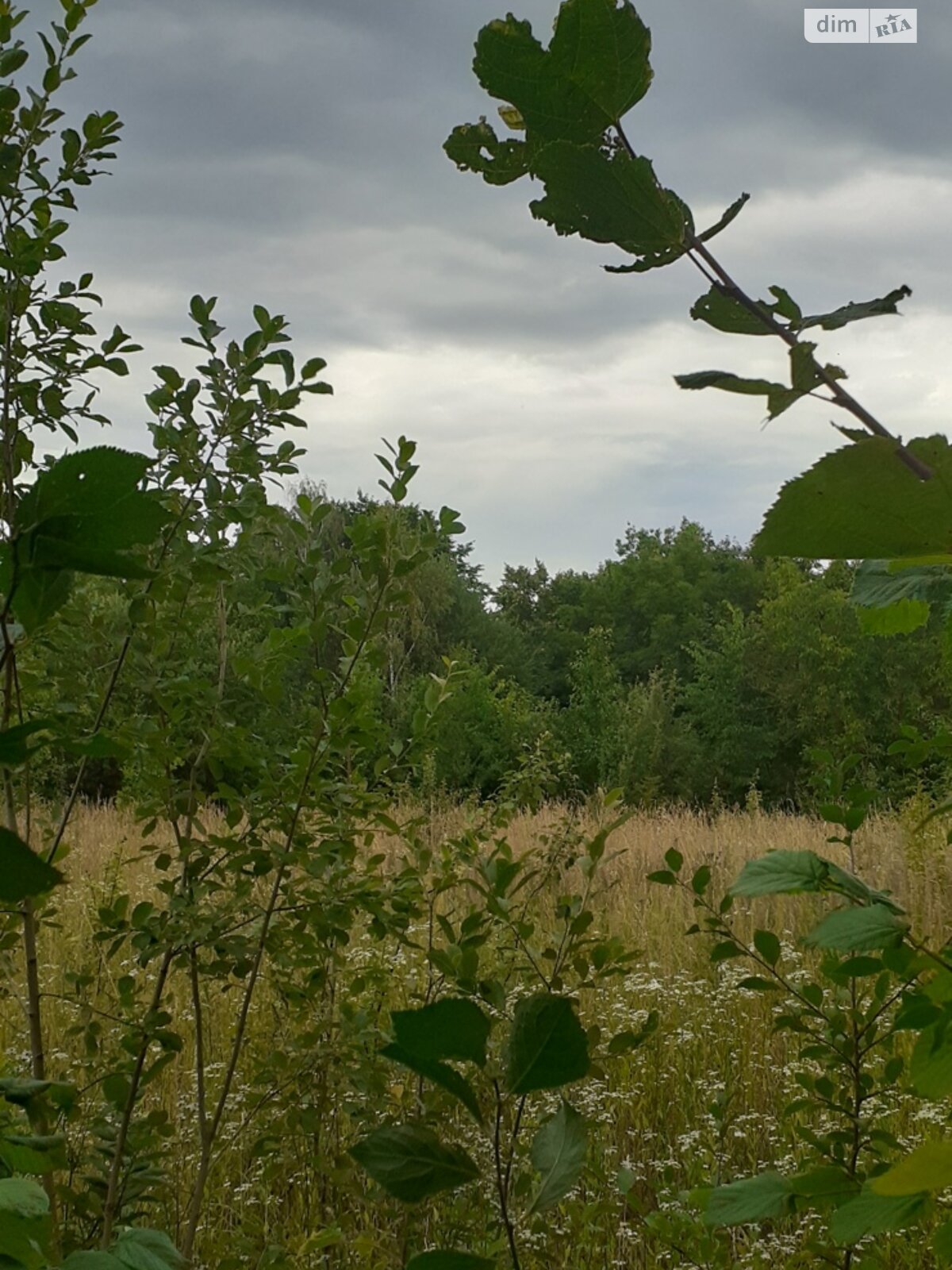 одноповерховий будинок з опаленням, 50 кв. м, цегла саманна. Продаж у Фащіївці фото 1 одноповерховий будинок з опаленням, 50 кв. м, цегла саманна. Продаж у Фащіївці фото 1