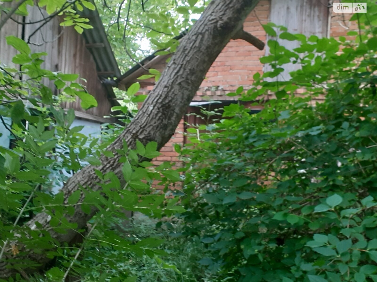 одноповерховий будинок з опаленням, 50 кв. м, цегла саманна. Продаж у Фащіївці фото 1 одноповерховий будинок з опаленням, 50 кв. м, цегла саманна. Продаж у Фащіївці фото 1