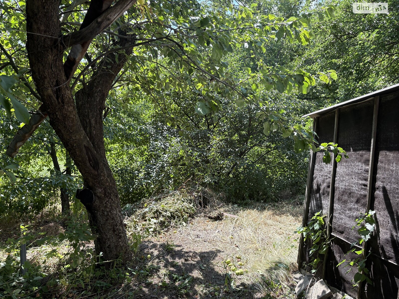 одноэтажный дом с отоплением, 58 кв. м, глинобитный. Продажа в Фастове район Фастов фото 1