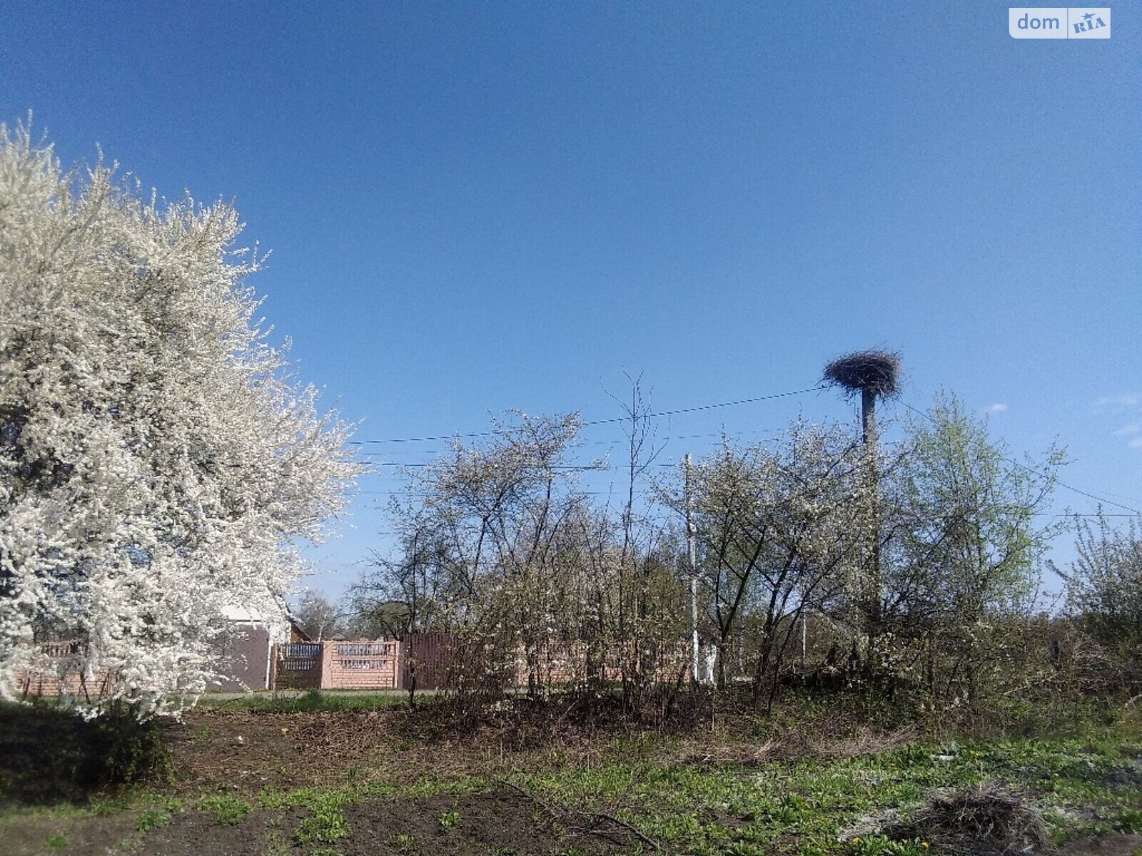 одноповерховий будинок з гаражем, 60 кв. м, глинобитний. Продаж у Кожанці фото 1 одноповерховий будинок з гаражем, 60 кв. м, глинобитний. Продаж у Кожанці фото 1