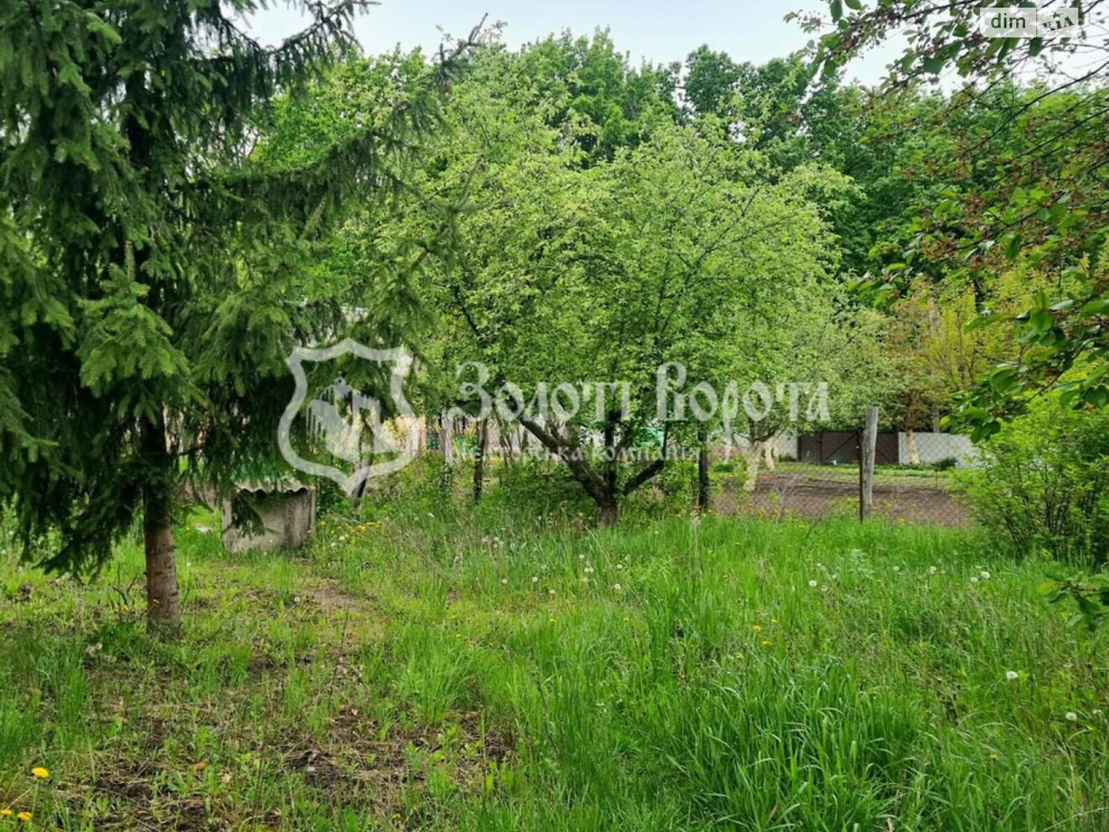 одноповерховий будинок, 40 кв. м, кирпич. Продаж у Фастові фото 1 одноповерховий будинок, 40 кв. м, кирпич. Продаж у Фастові фото 1