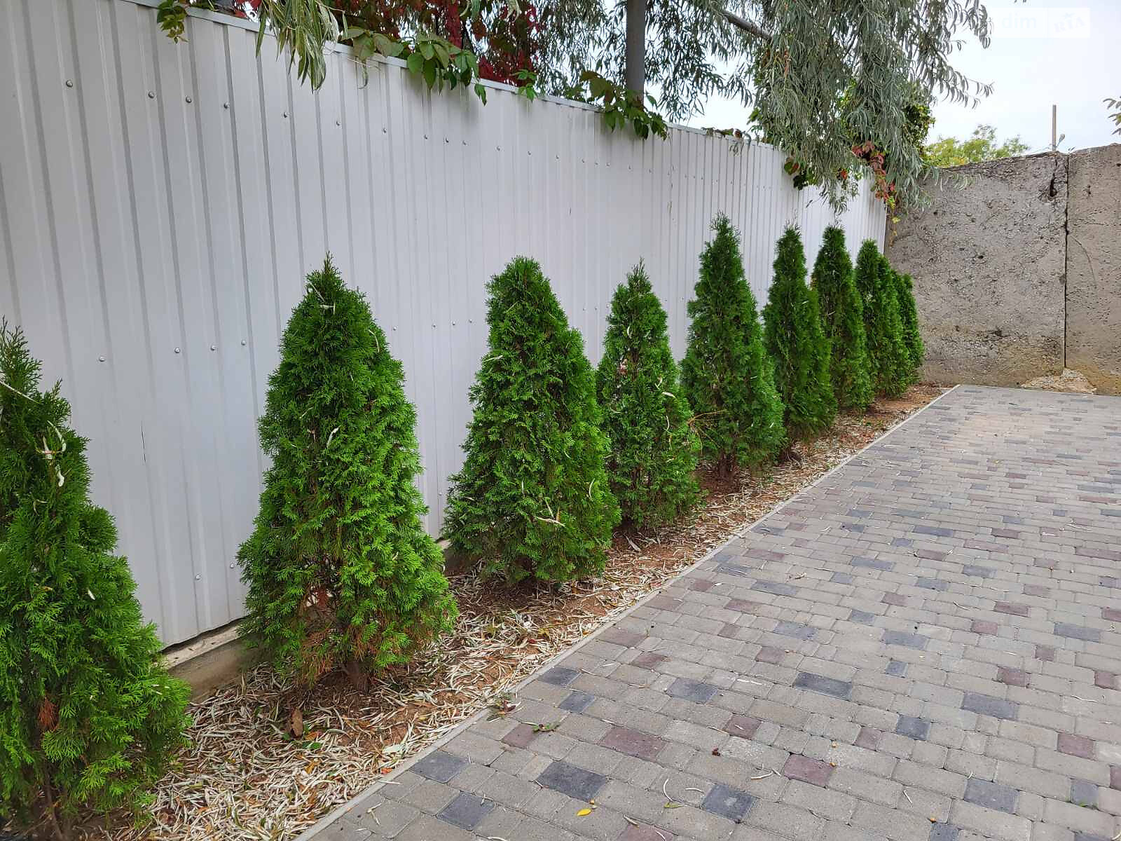 двухэтажный дом, 60 кв. м, ракушечник (ракушняк). Продажа в Фонтанке фото 1 двухэтажный дом, 60 кв. м, ракушечник (ракушняк). Продажа в Фонтанке фото 1