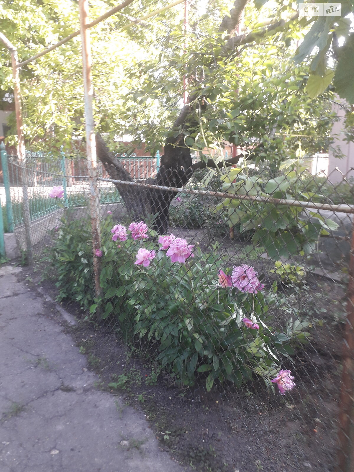 одноповерховий будинок з верандою, 73.4 кв. м, цегла. Продаж у Фонтанці фото 1 одноповерховий будинок з верандою, 73.4 кв. м, цегла. Продаж у Фонтанці фото 1