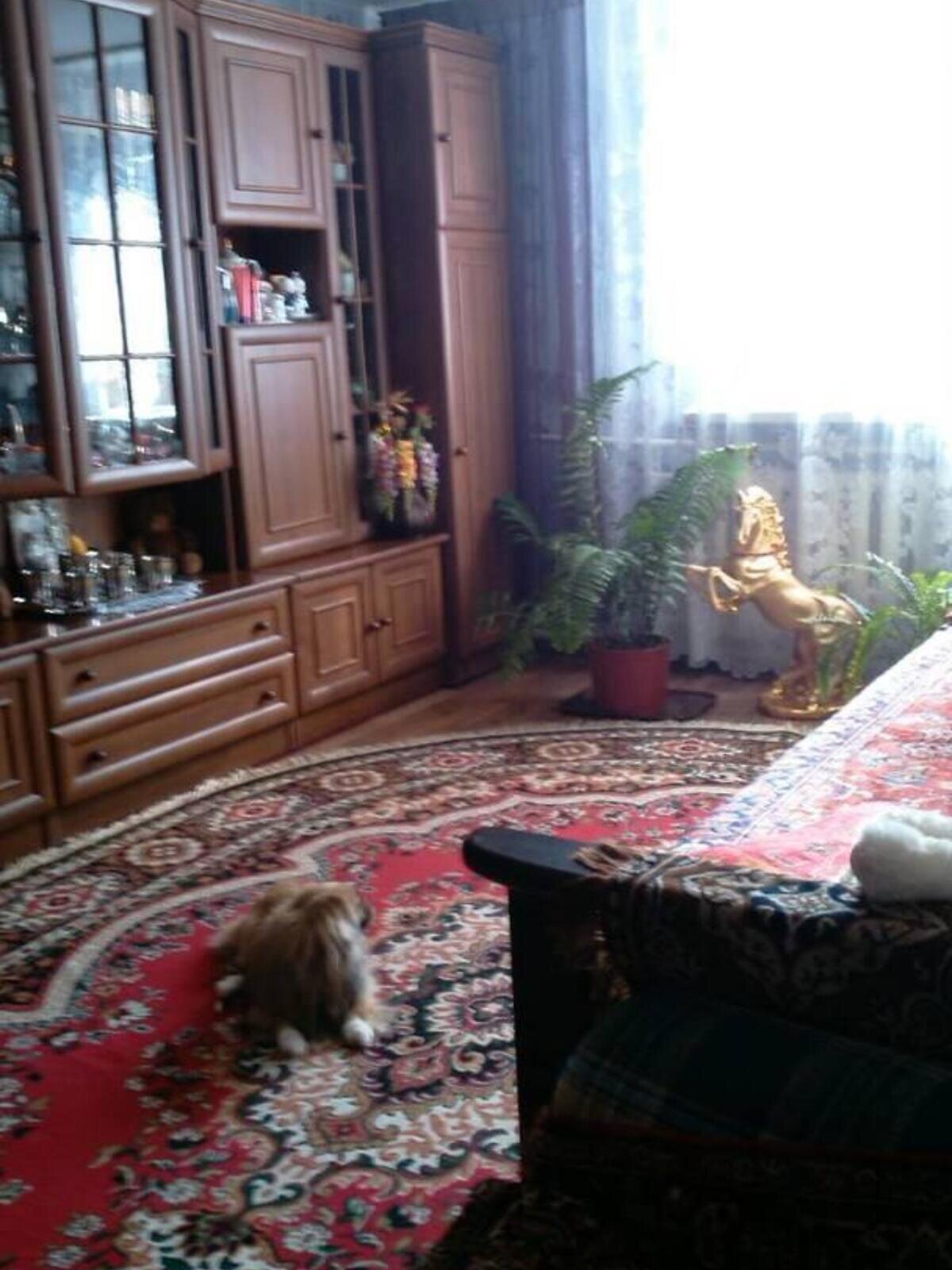 одноэтажный дом, 60 кв. м, ракушечник (ракушняк). Продажа в Фонтанке фото 1 одноэтажный дом, 60 кв. м, ракушечник (ракушняк). Продажа в Фонтанке фото 1