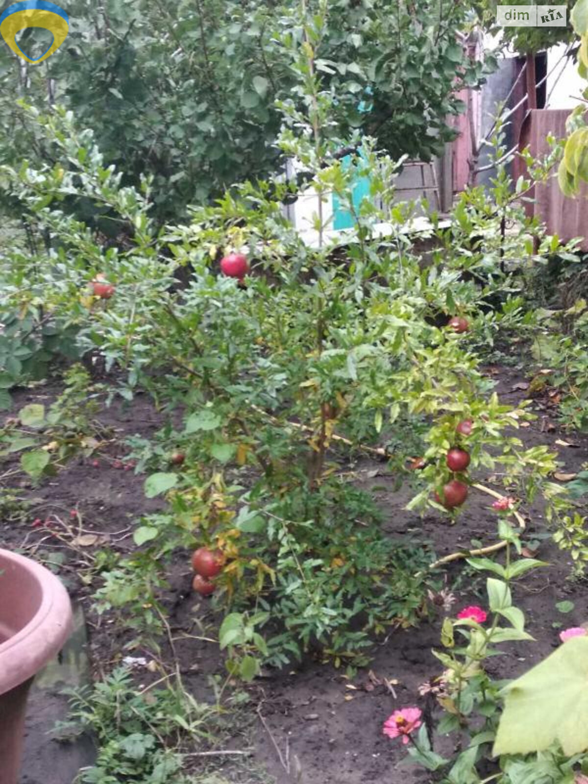 двоповерховий будинок з гаражем, 65 кв. м, цегла. Продаж у Фонтанці фото 1 двоповерховий будинок з гаражем, 65 кв. м, цегла. Продаж у Фонтанці фото 1