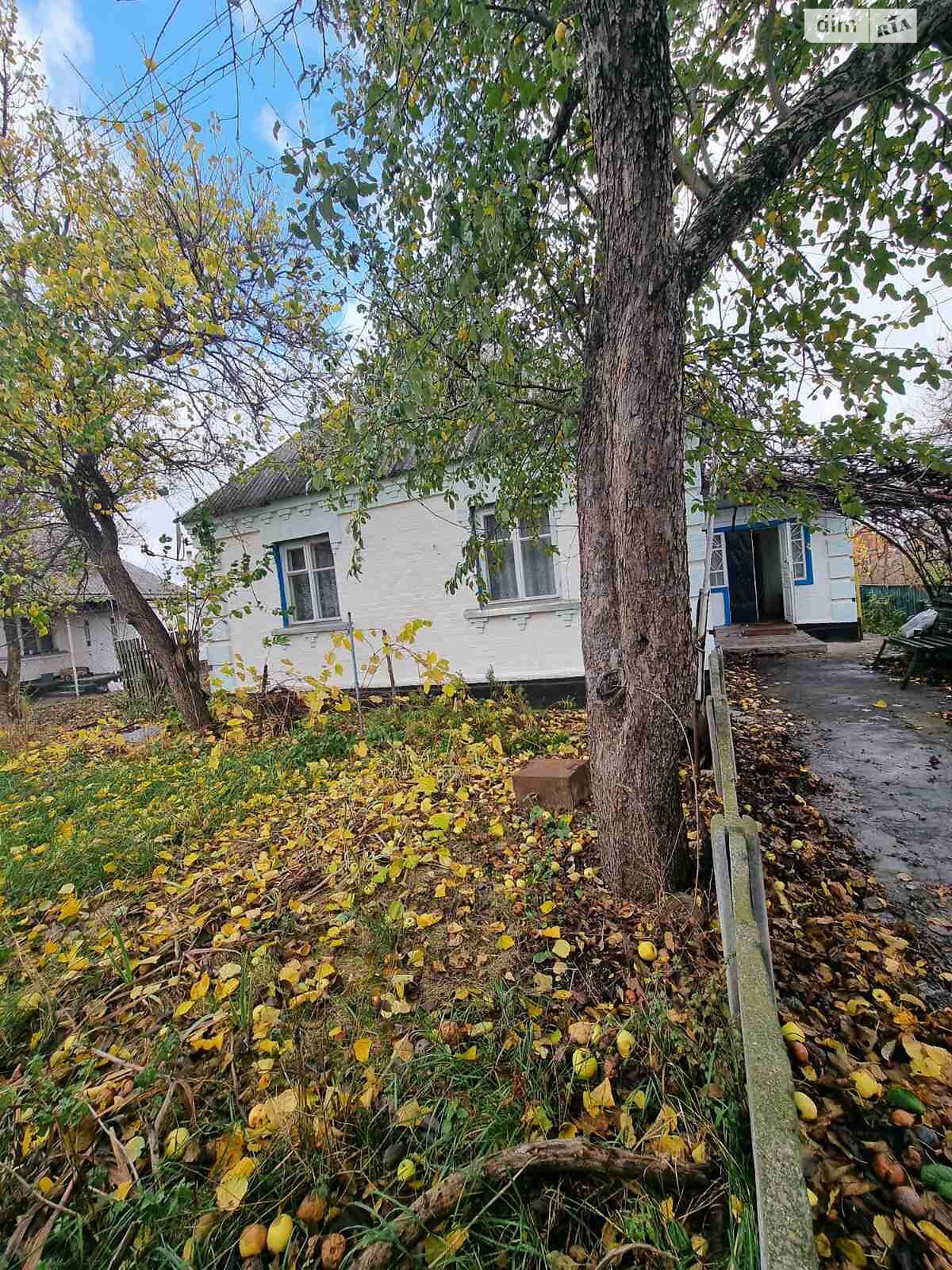 одноповерховий будинок веранда, 76 кв. м, цегла. Продаж у Фурсах фото 1