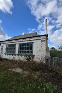 одноповерховий будинок, 60 кв. м, цегла. Продаж у Фурсах фото 2