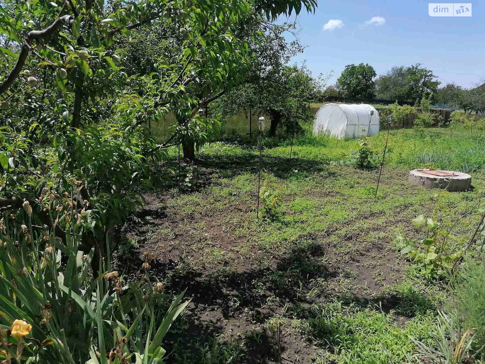 двоповерховий будинок, 55 кв. м, цегла. Продаж у Фурсах фото 1 двоповерховий будинок, 55 кв. м, цегла. Продаж у Фурсах фото 1