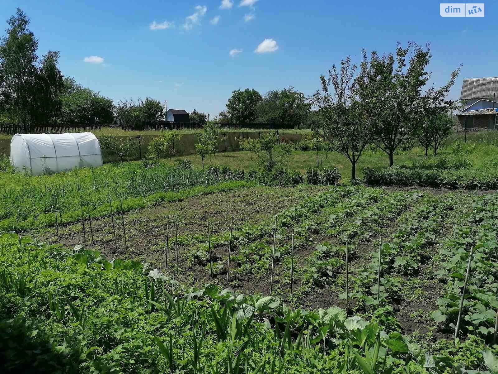 двоповерховий будинок, 55 кв. м, цегла. Продаж у Фурсах фото 1 двоповерховий будинок, 55 кв. м, цегла. Продаж у Фурсах фото 1