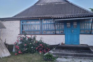 одноповерховий будинок з опаленням, 110 кв. м, цегла. Продаж у Гадзинці фото 2