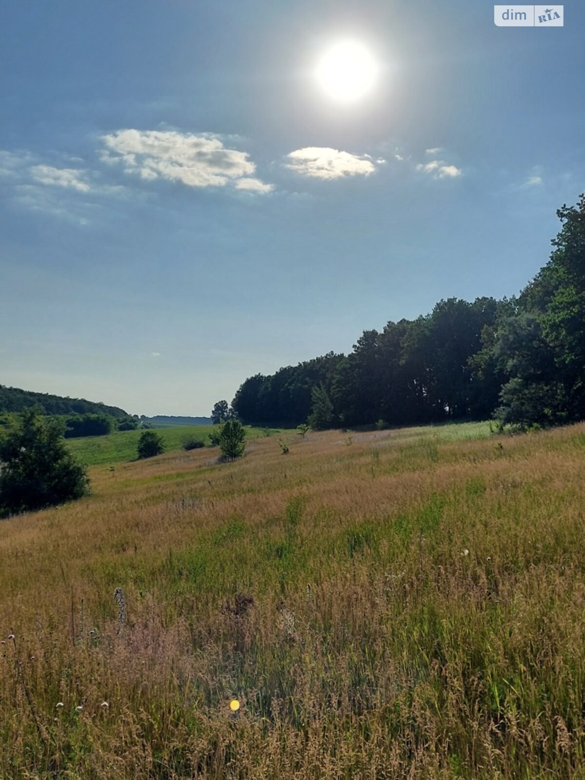 одноповерховий будинок з гаражем, 58.8 кв. м, цегла. Продаж у Гаївщині фото 1