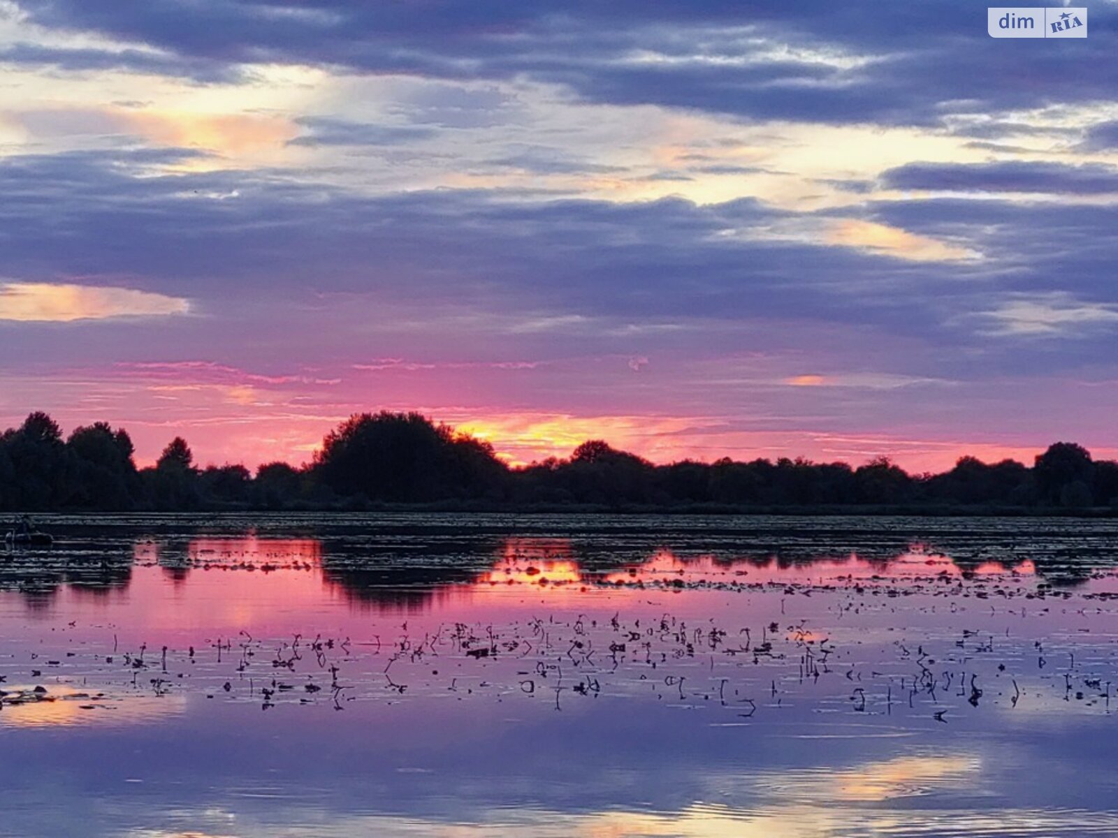 одноповерховий будинок з гаражем, 58.8 кв. м, цегла. Продаж у Гаївщині фото 1