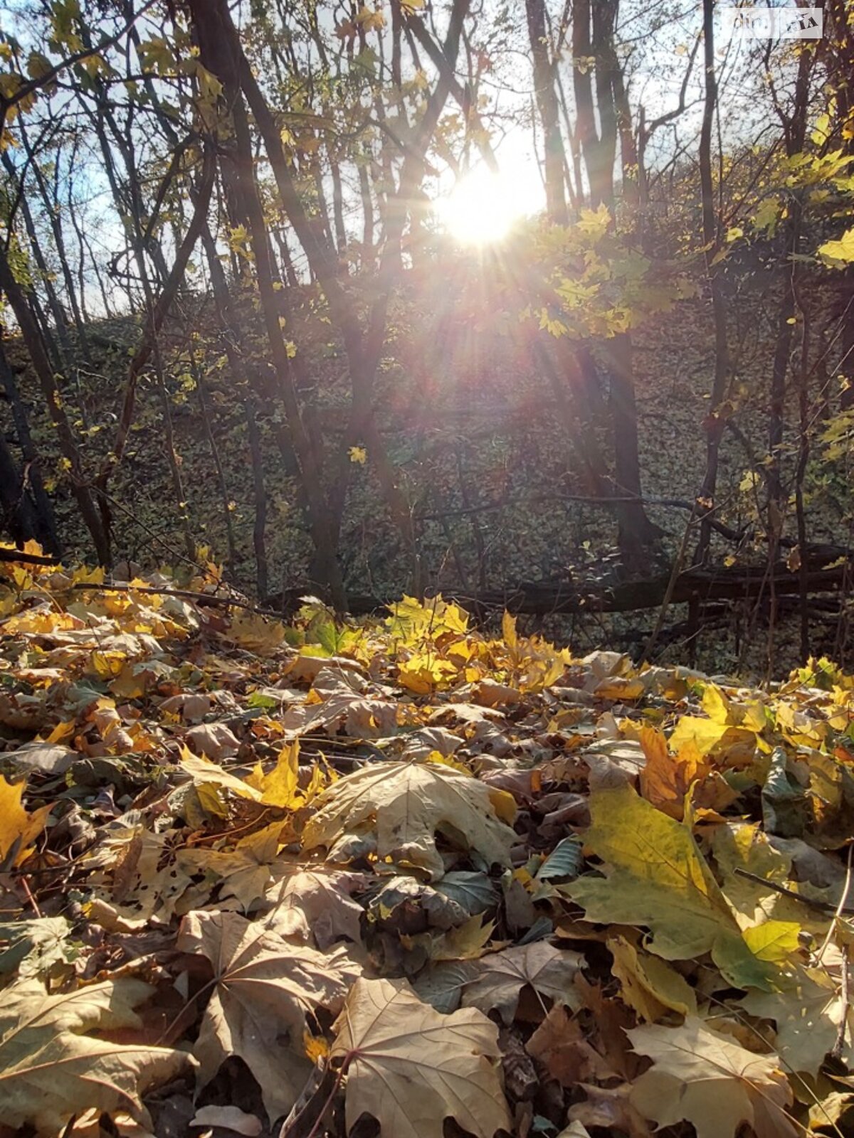 одноповерховий будинок з гаражем, 58.8 кв. м, цегла. Продаж у Гаївщині фото 1