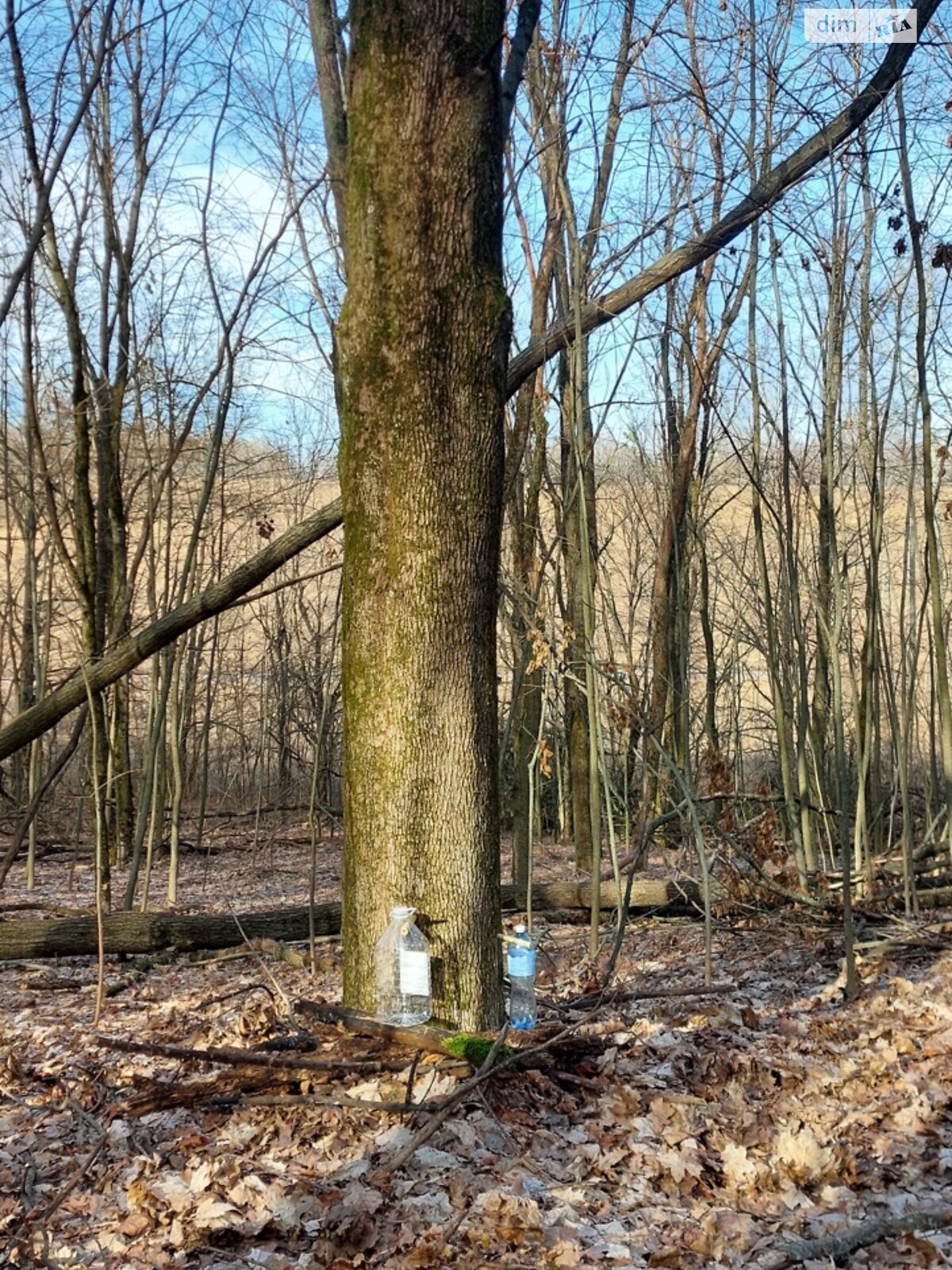 одноповерховий будинок з гаражем, 58.8 кв. м, цегла. Продаж у Гаївщині фото 1