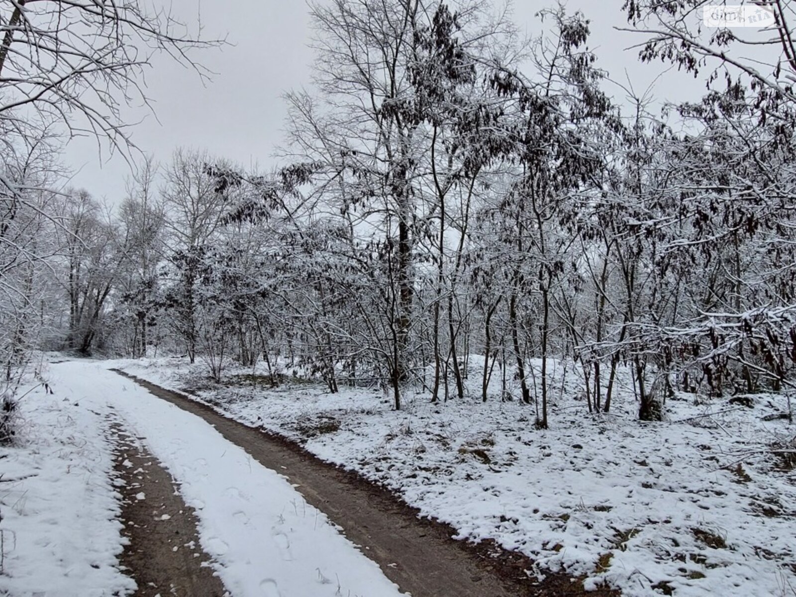 одноповерховий будинок з гаражем, 58.8 кв. м, цегла. Продаж у Гаївщині фото 1