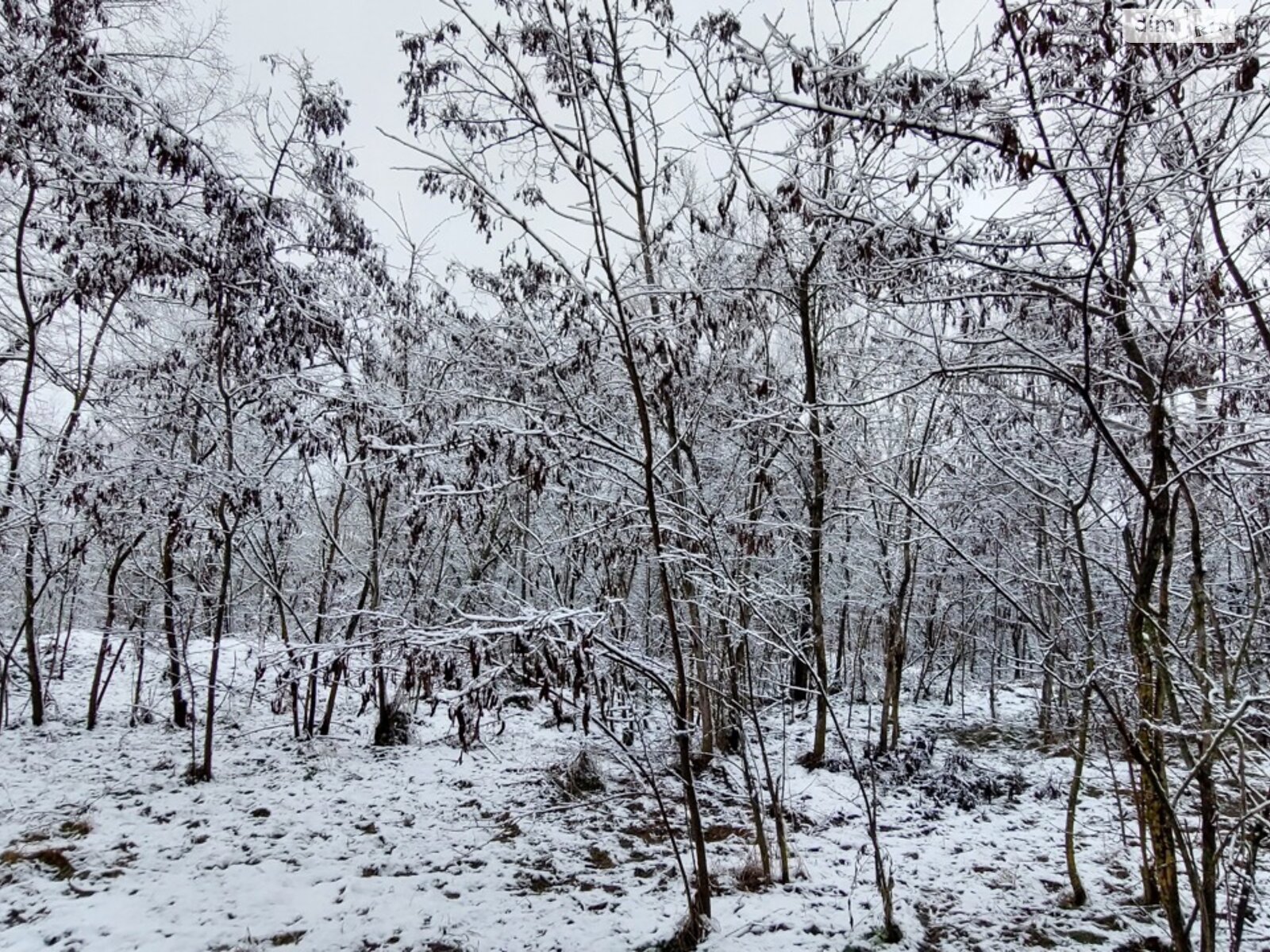 одноповерховий будинок з гаражем, 58.8 кв. м, цегла. Продаж у Гаївщині фото 1