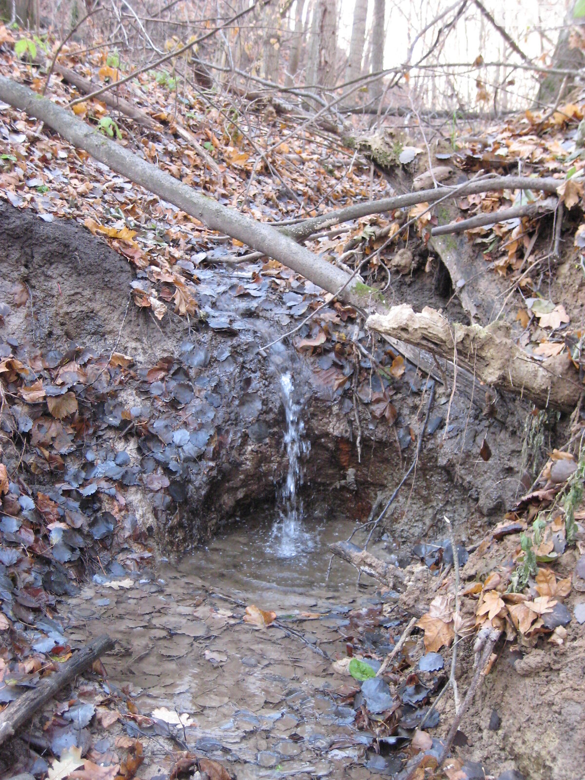 одноповерховий будинок з гаражем, 58.8 кв. м, цегла. Продаж у Гаївщині фото 1