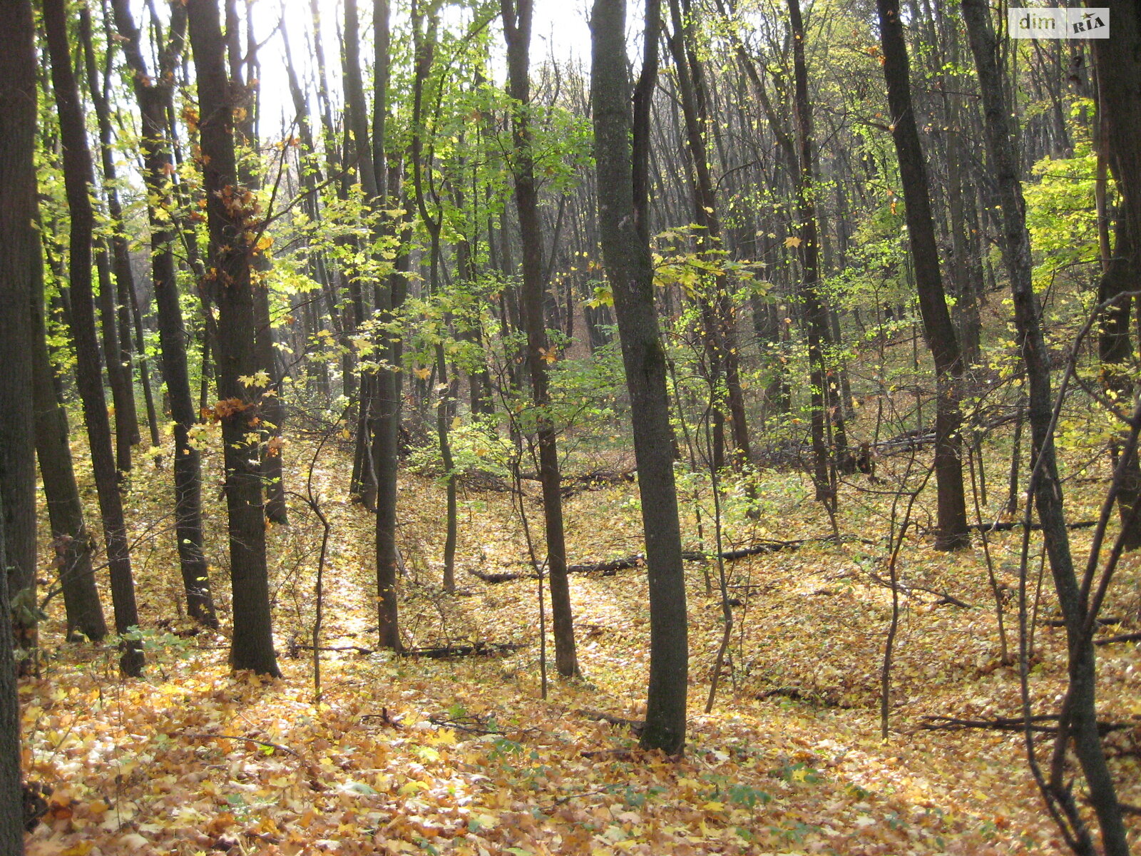 одноповерховий будинок з гаражем, 58.8 кв. м, цегла. Продаж у Гаївщині фото 1