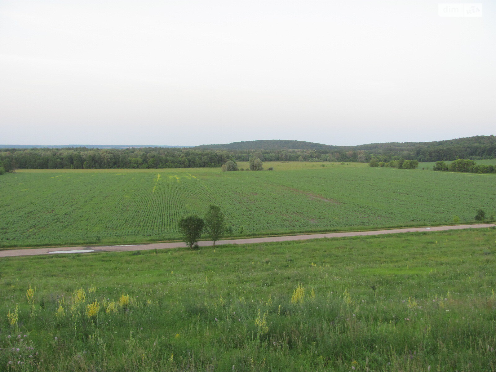 одноповерховий будинок з гаражем, 58.8 кв. м, цегла. Продаж у Гаївщині фото 1