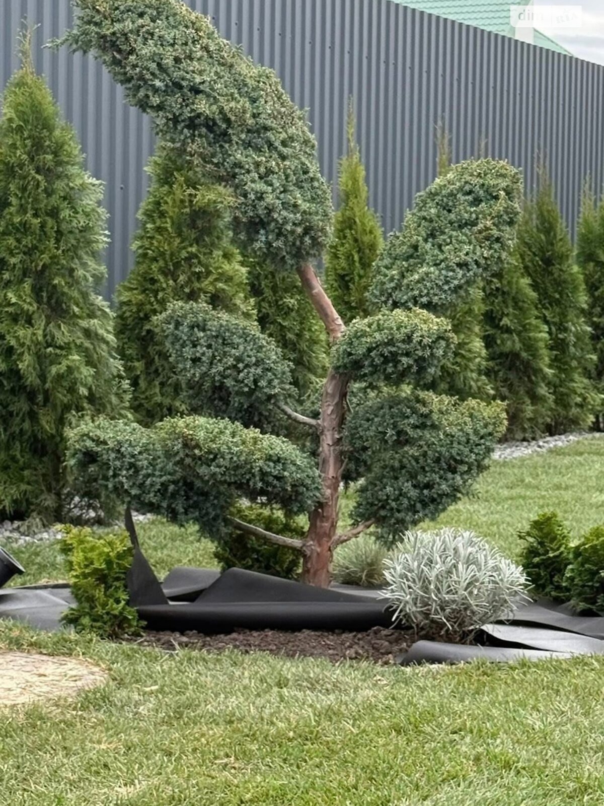 двоповерховий будинок з гаражем, 240 кв. м, кирпич. Продаж у Гаях-Гречинських фото 1