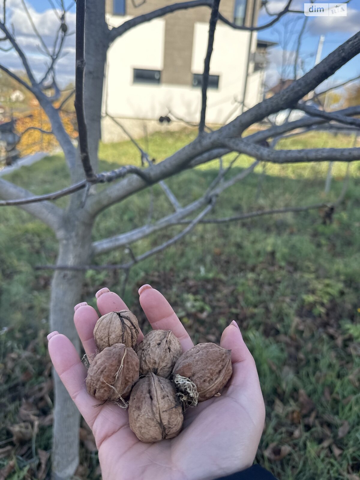 двоповерховий будинок, 120 кв. м, цегла. Продаж у Гаях Ходоровських фото 1
