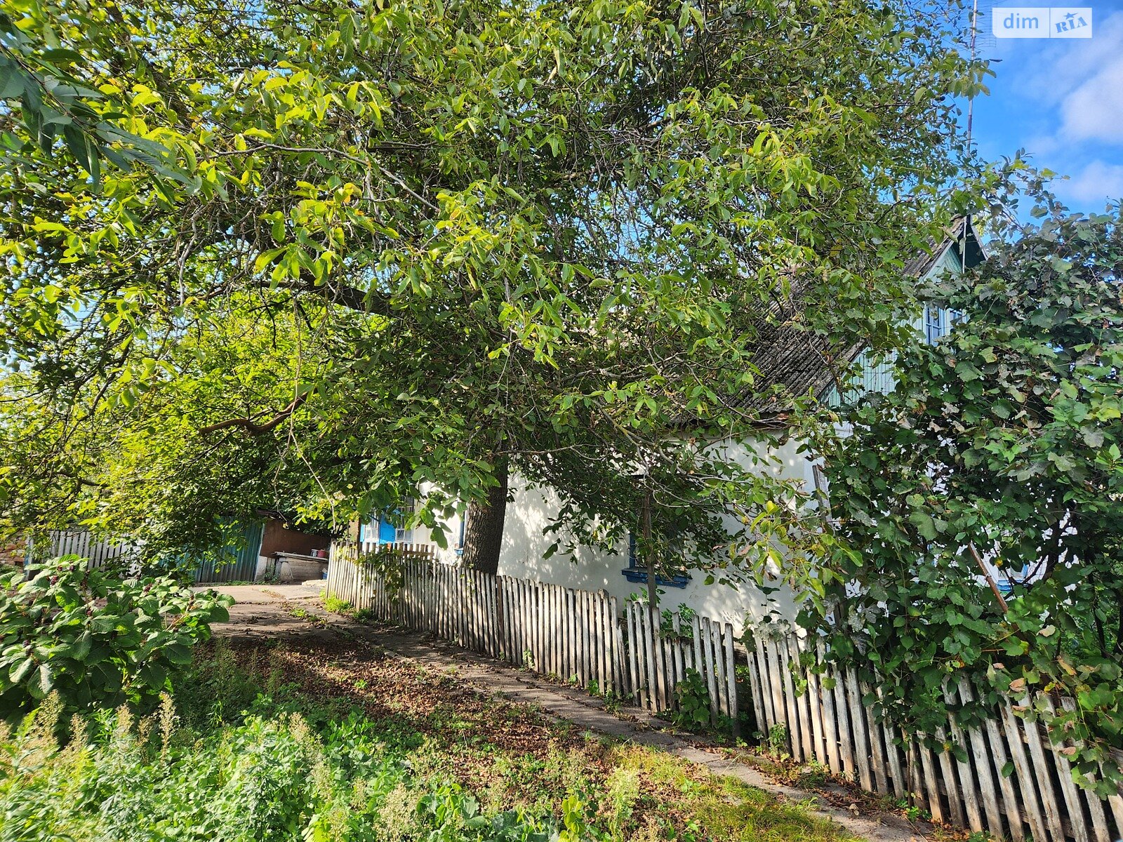 одноэтажный дом с отоплением, 78 кв. м, кирпич. Продажа в Гальчине фото 1 одноэтажный дом с отоплением, 78 кв. м, кирпич. Продажа в Гальчине фото 1