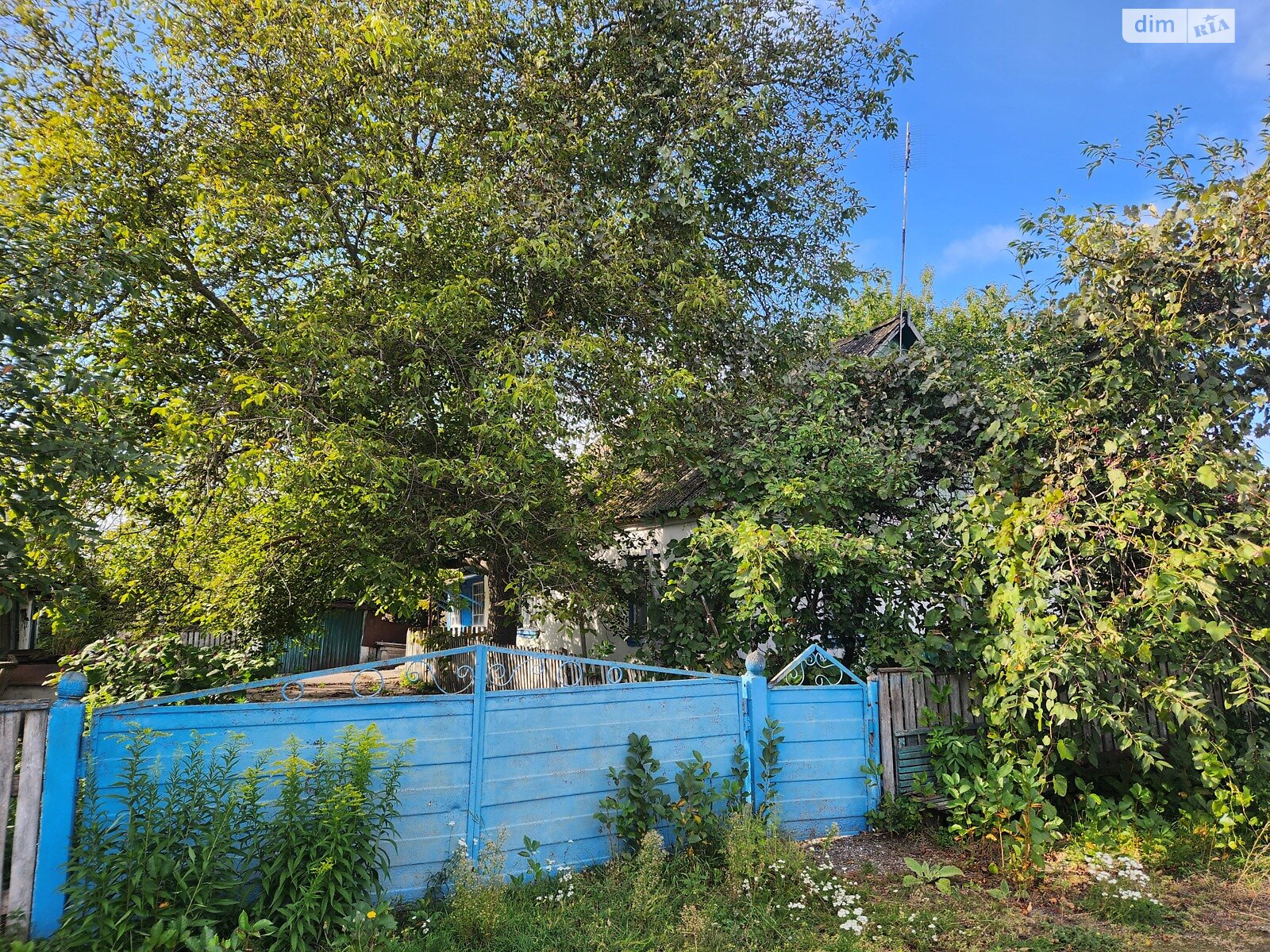 одноэтажный дом с отоплением, 78 кв. м, кирпич. Продажа в Гальчине фото 1 одноэтажный дом с отоплением, 78 кв. м, кирпич. Продажа в Гальчине фото 1