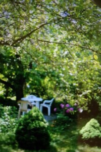 одноэтажный дом, 30.9 кв. м, кирпич. Продажа в Галинке фото 2 одноэтажный дом, 30.9 кв. м, кирпич. Продажа в Галинке фото 2