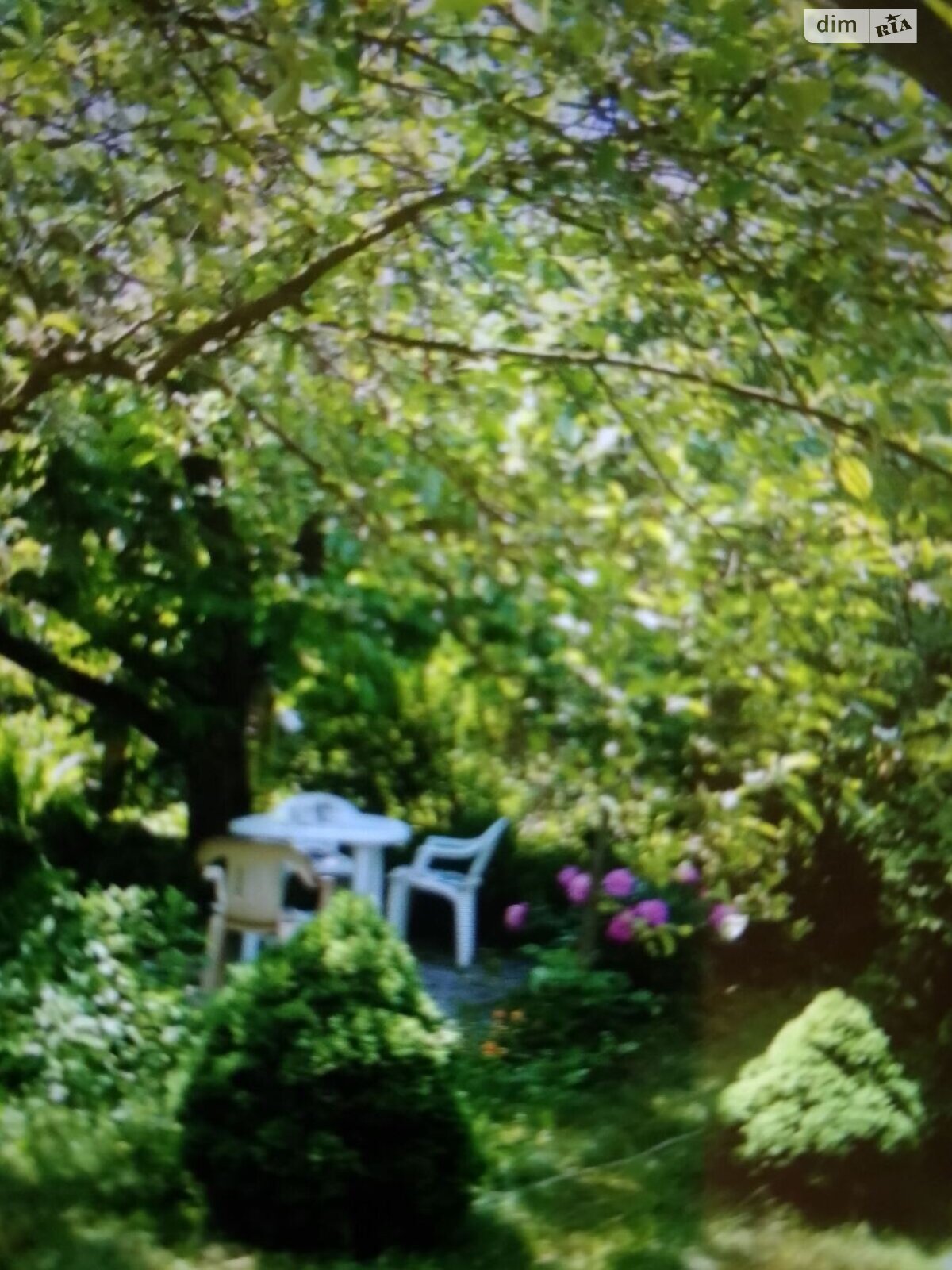 одноэтажный дом, 30.9 кв. м, кирпич. Продажа в Галинке фото 1 одноэтажный дом, 30.9 кв. м, кирпич. Продажа в Галинке фото 1